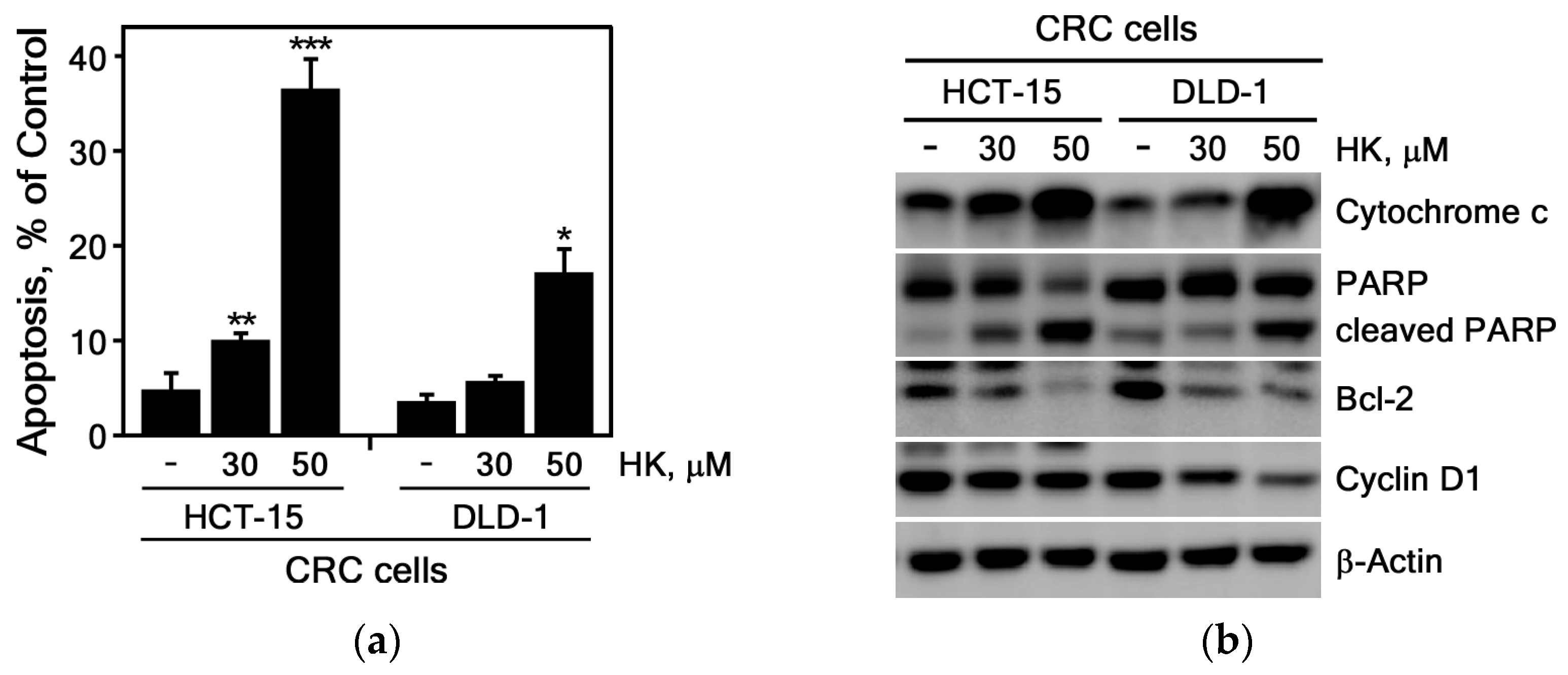Cimb 47 00921 g004 Cimb 47 00921 g004