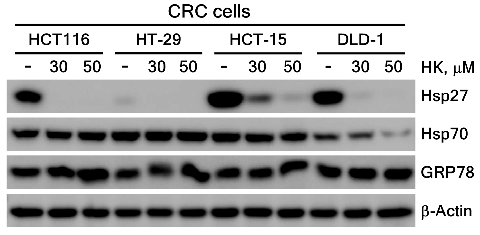Cimb 47 00921 g005 Cimb 47 00921 g005