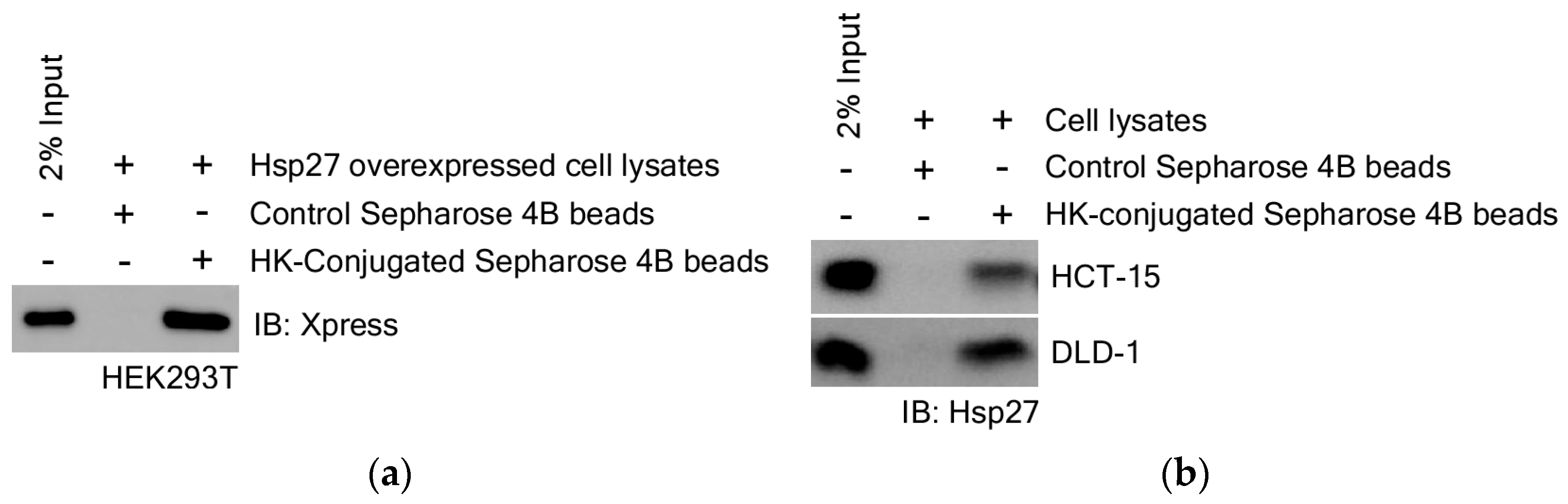 Cimb 47 00921 g006 Cimb 47 00921 g006