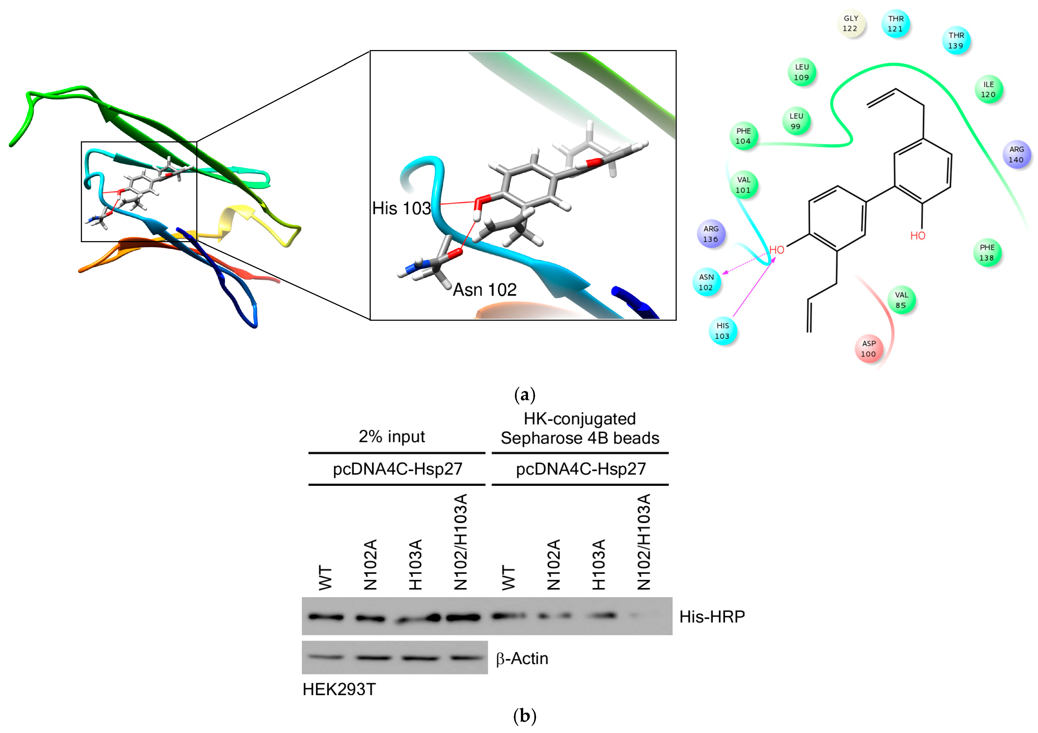 Cimb 47 00921 g007 Cimb 47 00921 g007