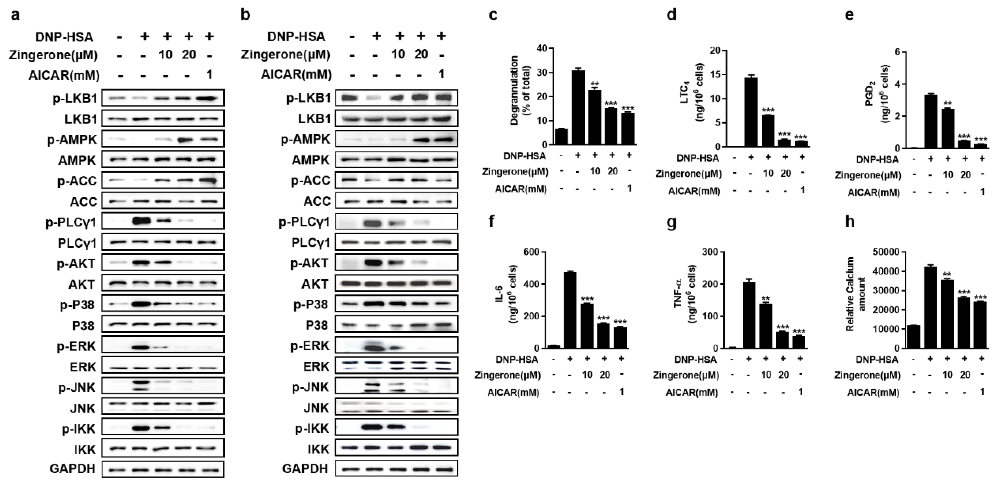 Cimb 47 00963 g002 Cimb 47 00963 g002