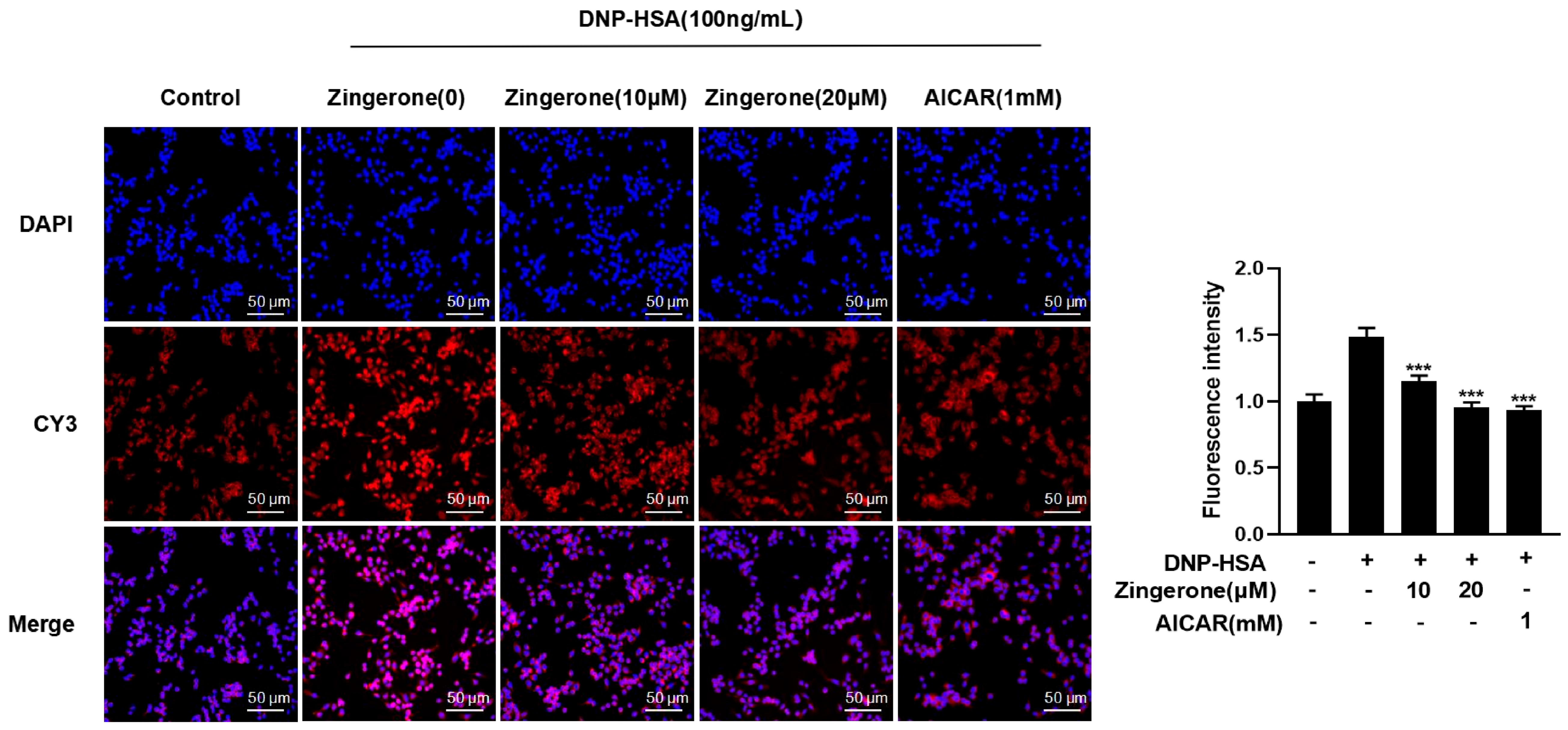 Cimb 47 00963 g003 Cimb 47 00963 g003