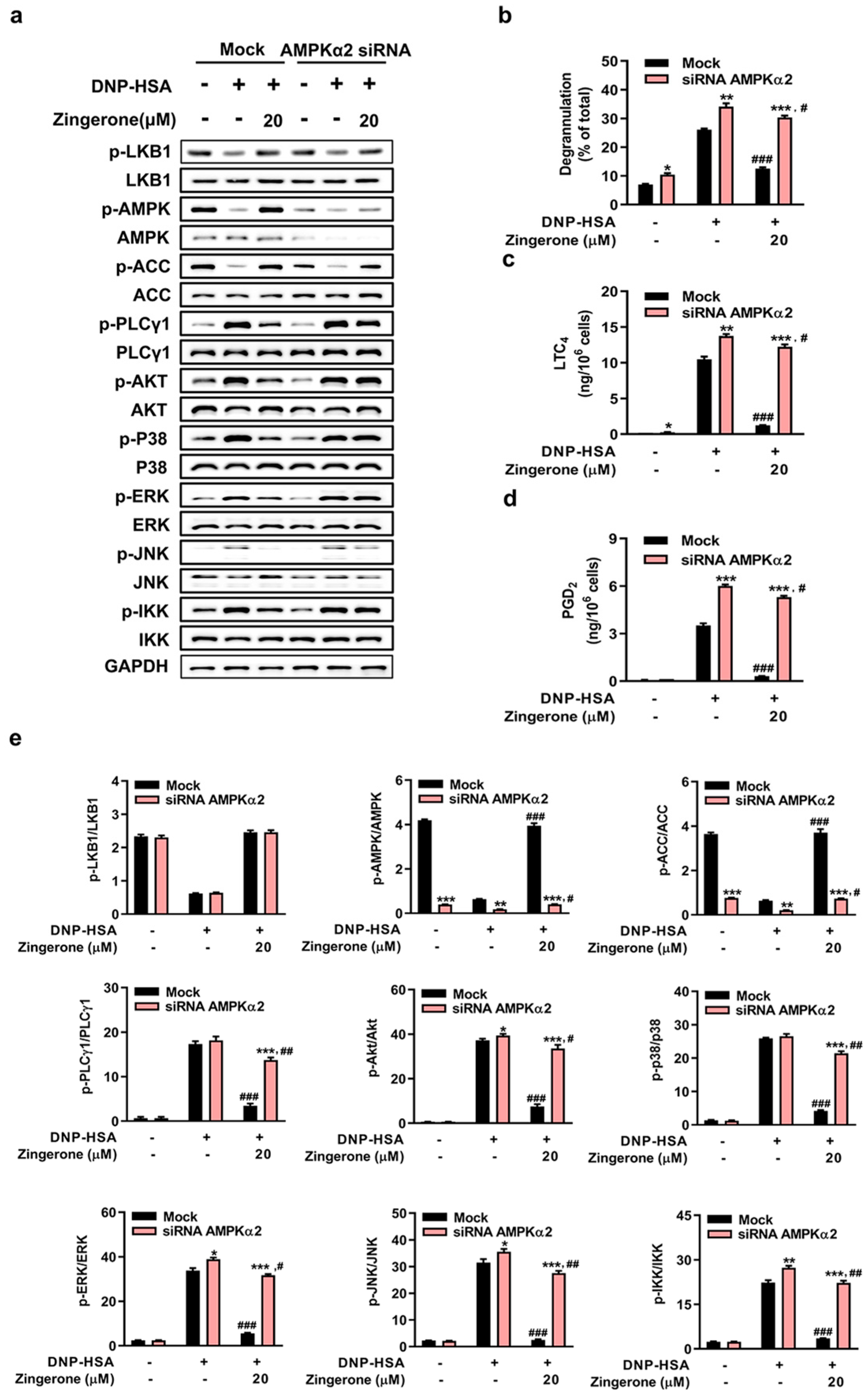 Cimb 47 00963 g004 Cimb 47 00963 g004
