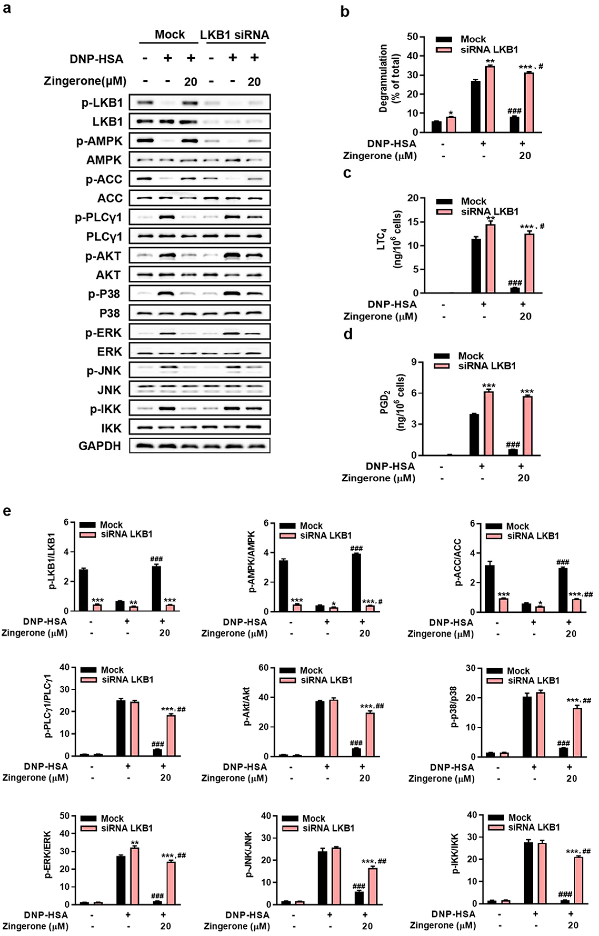 Cimb 47 00963 g005 Cimb 47 00963 g005