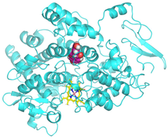 Cimb 47 00969 i001 Cimb 47 00969 i001