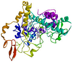 Cimb 47 00969 i002 Cimb 47 00969 i002