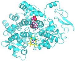 Cimb 47 00969 i005 Cimb 47 00969 i005