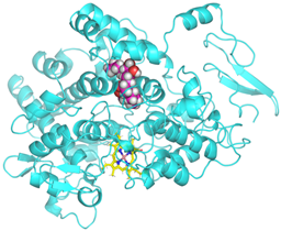 Cimb 47 00969 i009 Cimb 47 00969 i009