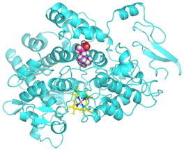 Cimb 47 00969 i013 Cimb 47 00969 i013