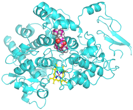 Cimb 47 00969 i017 Cimb 47 00969 i017