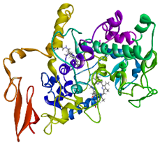 Cimb 47 00969 i018 Cimb 47 00969 i018