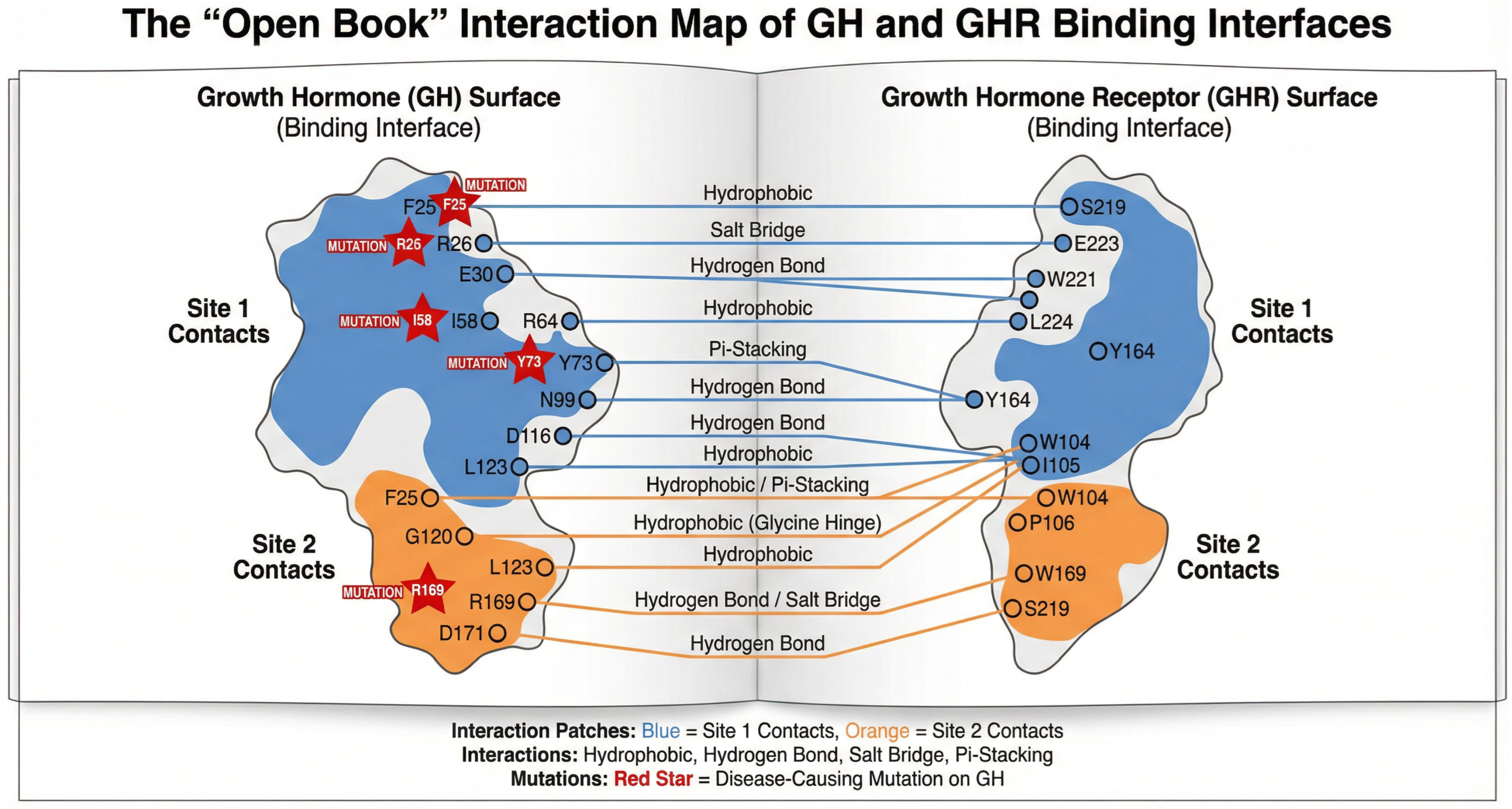 Cimb 47 01012 g004 Cimb 47 01012 g004
