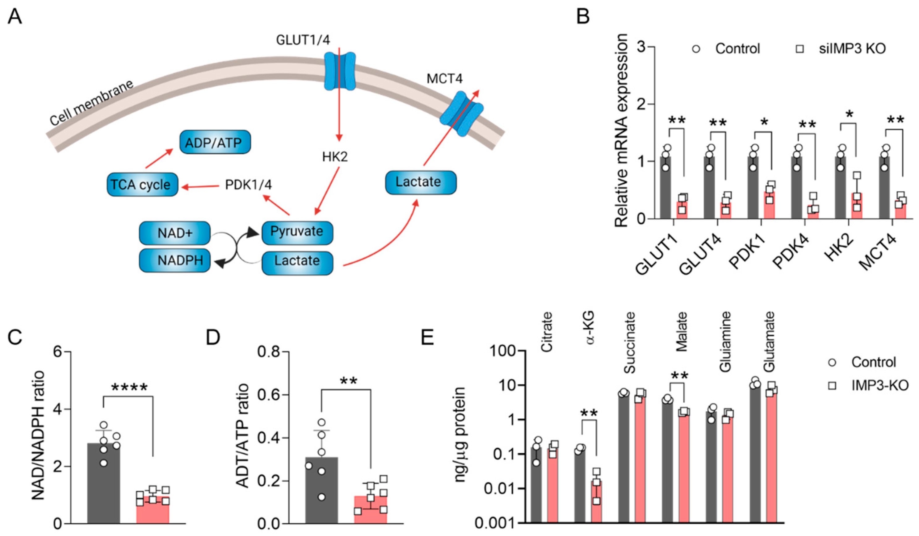 Cimb 47 01014 g002 Cimb 47 01014 g002