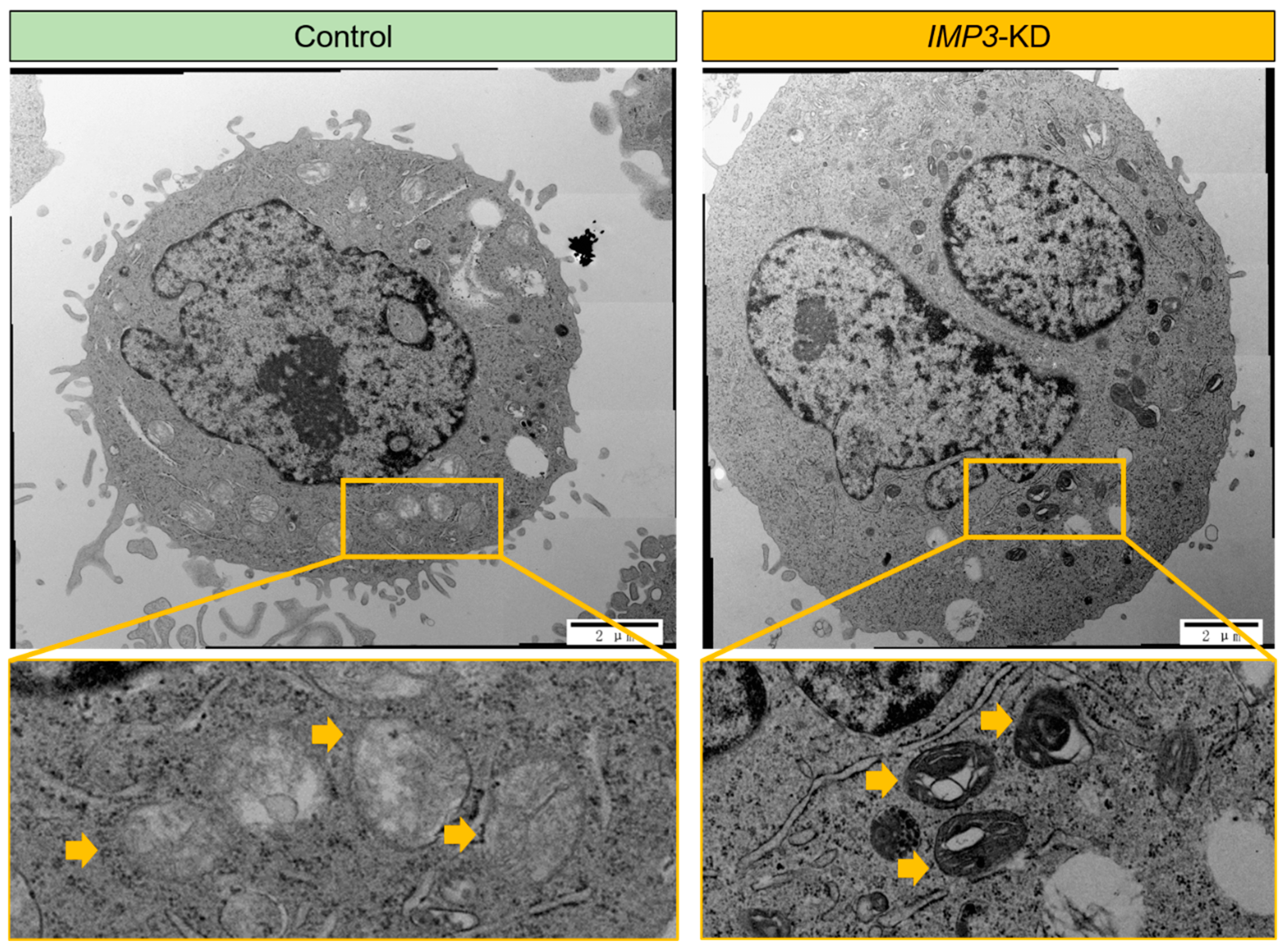Cimb 47 01014 g003 Cimb 47 01014 g003