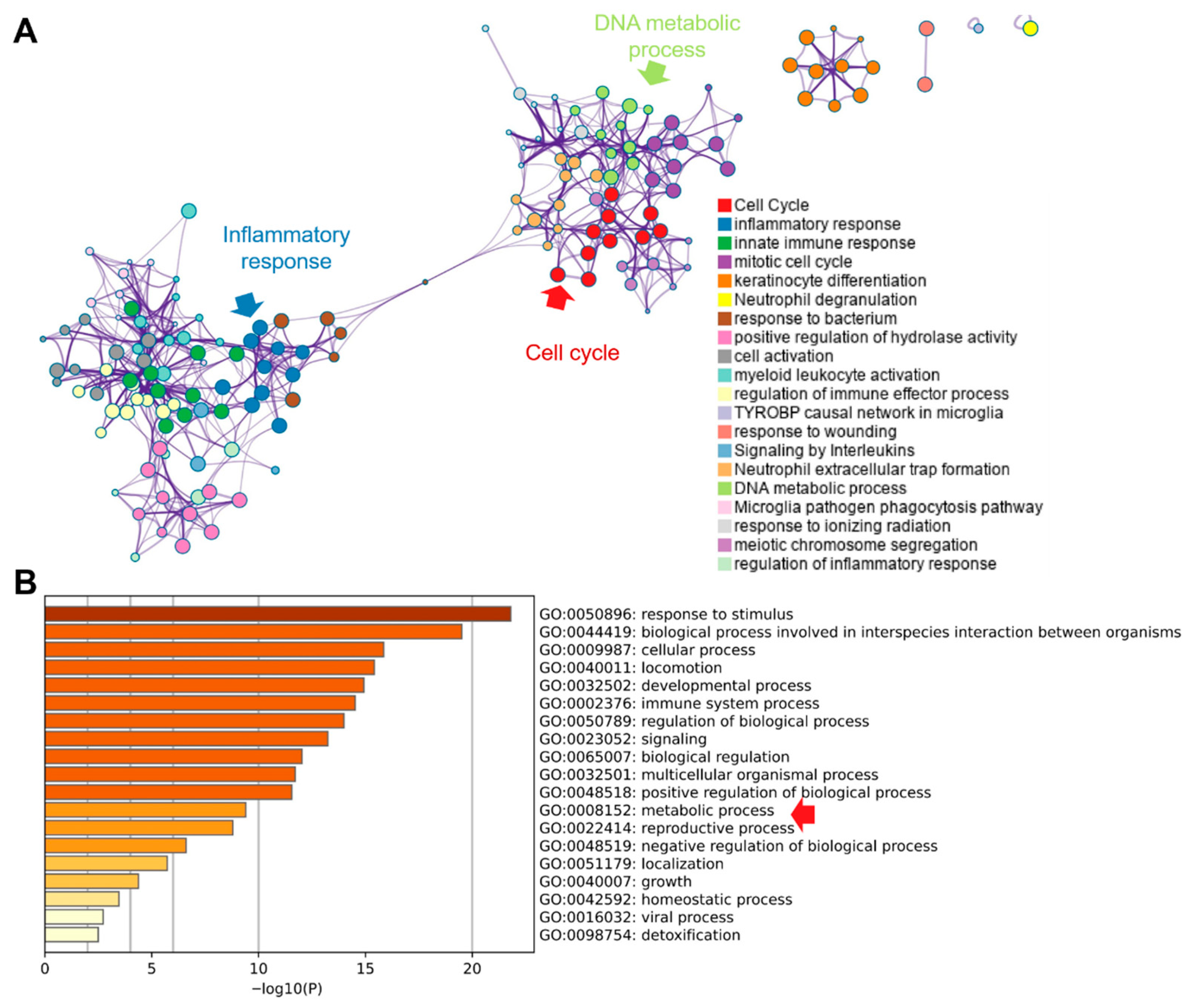 Cimb 47 01014 g006 Cimb 47 01014 g006