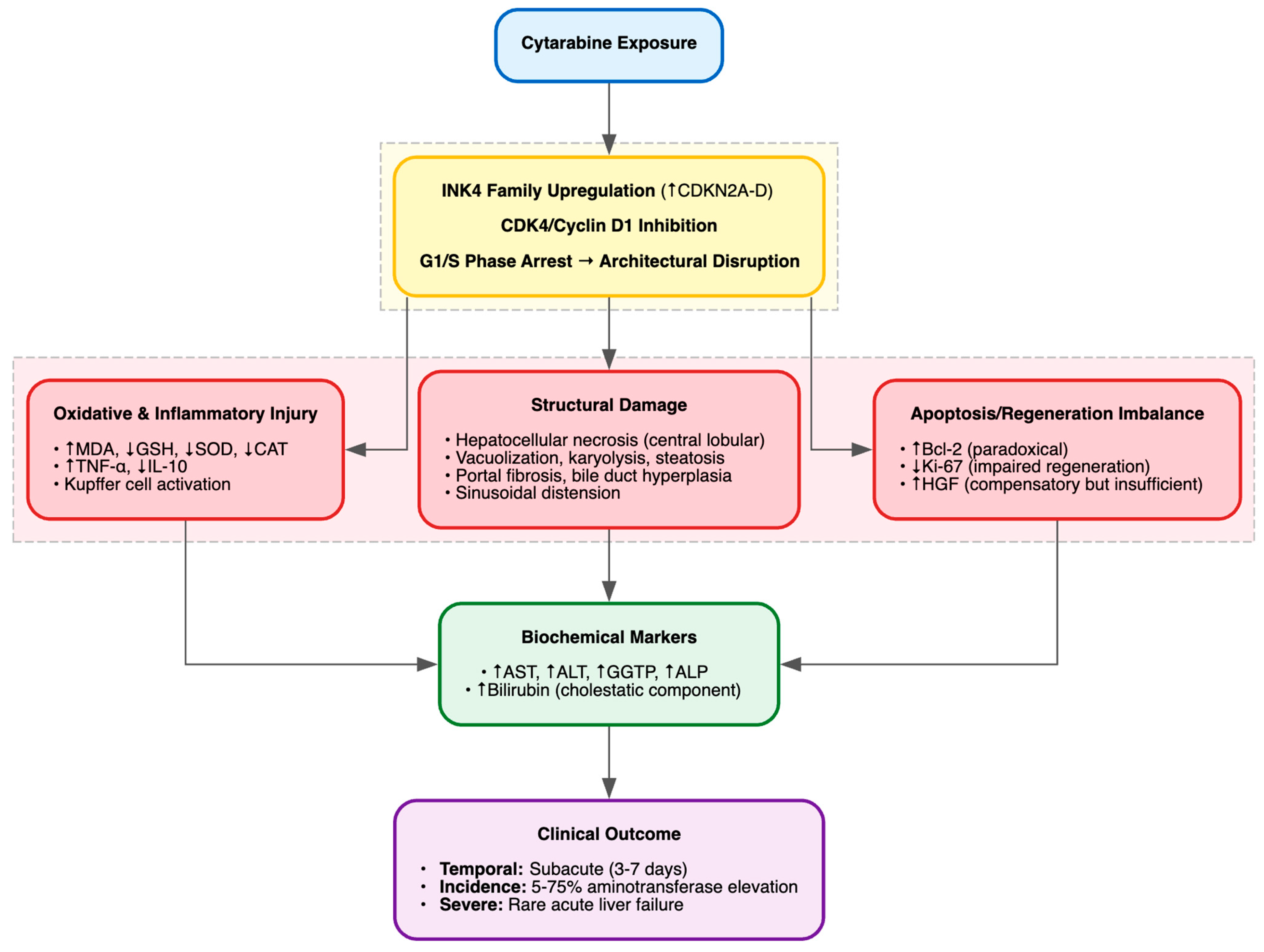 Cimb 48 00004 g009 Cimb 48 00004 g009