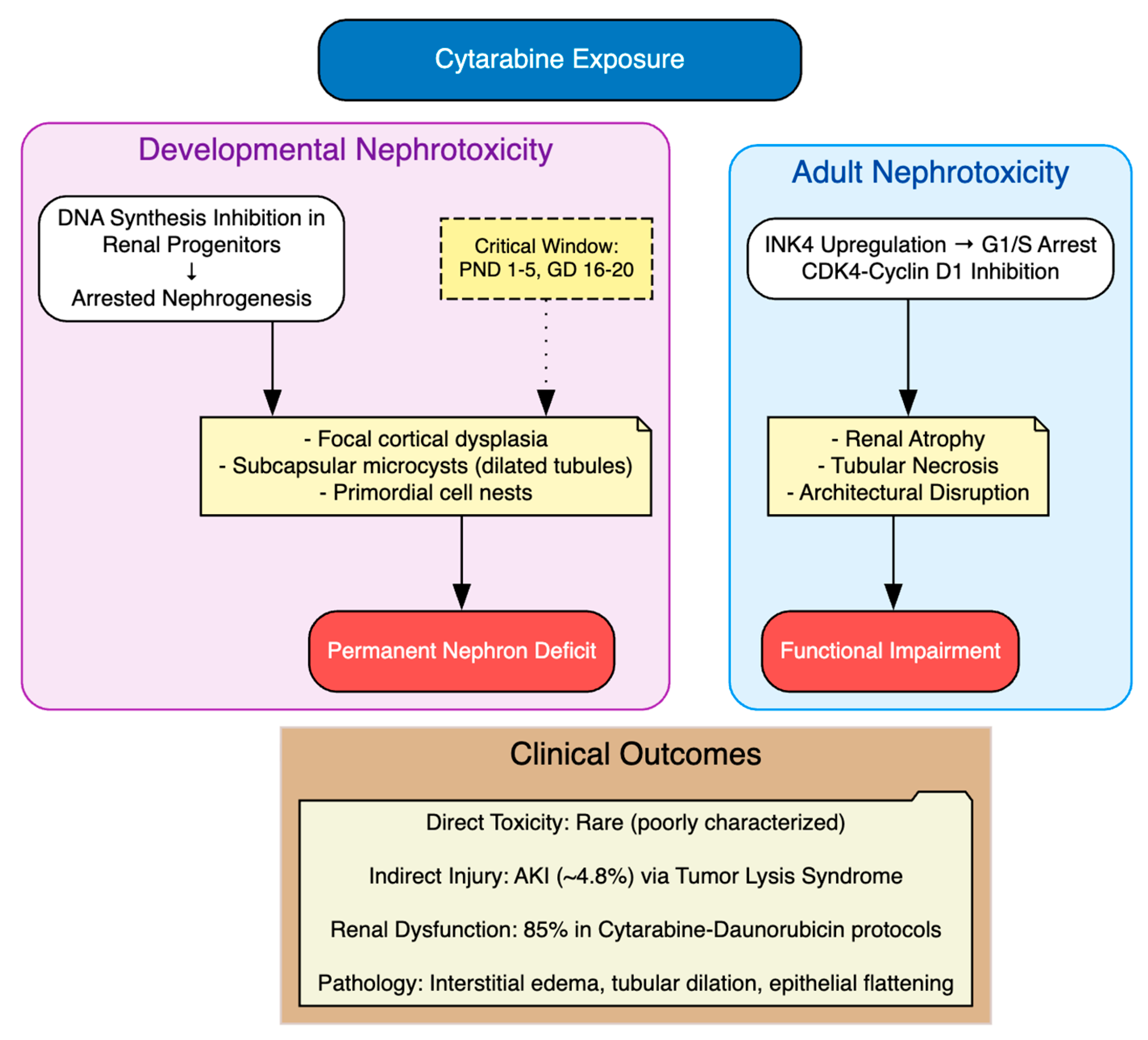 Cimb 48 00004 g010 Cimb 48 00004 g010