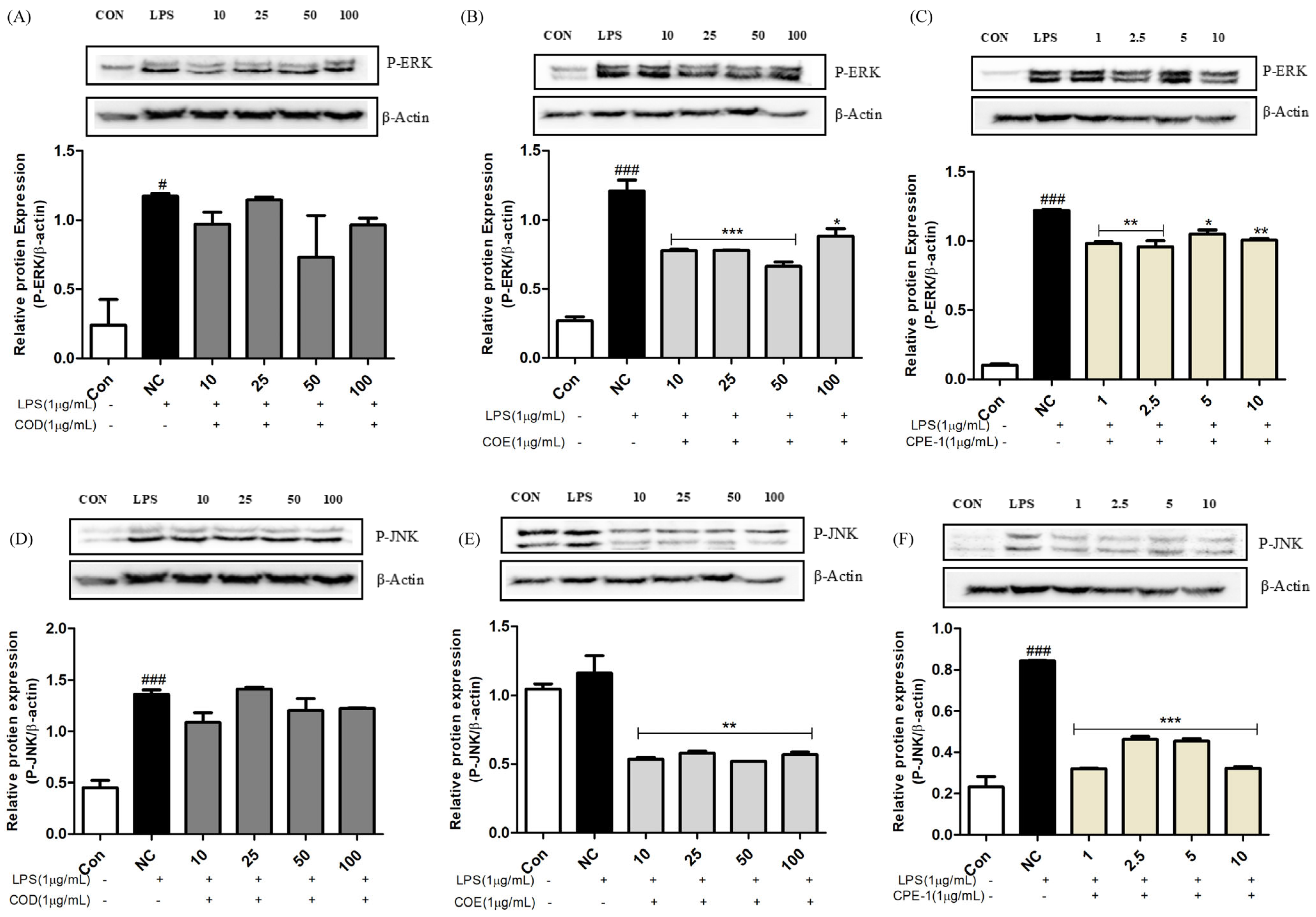Cimb 48 00026 g004 Cimb 48 00026 g004