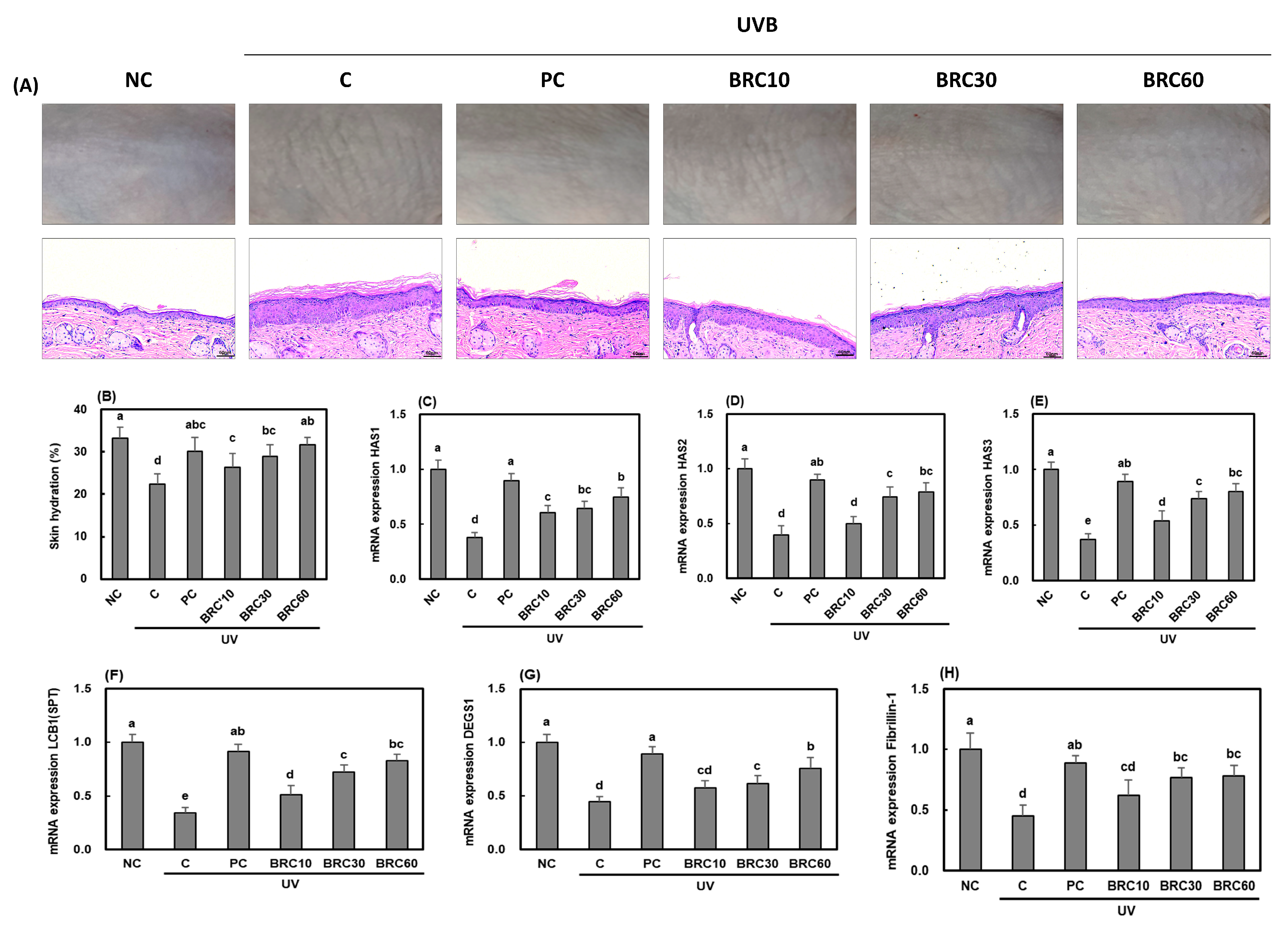 Cimb 48 00050 g002 Cimb 48 00050 g002