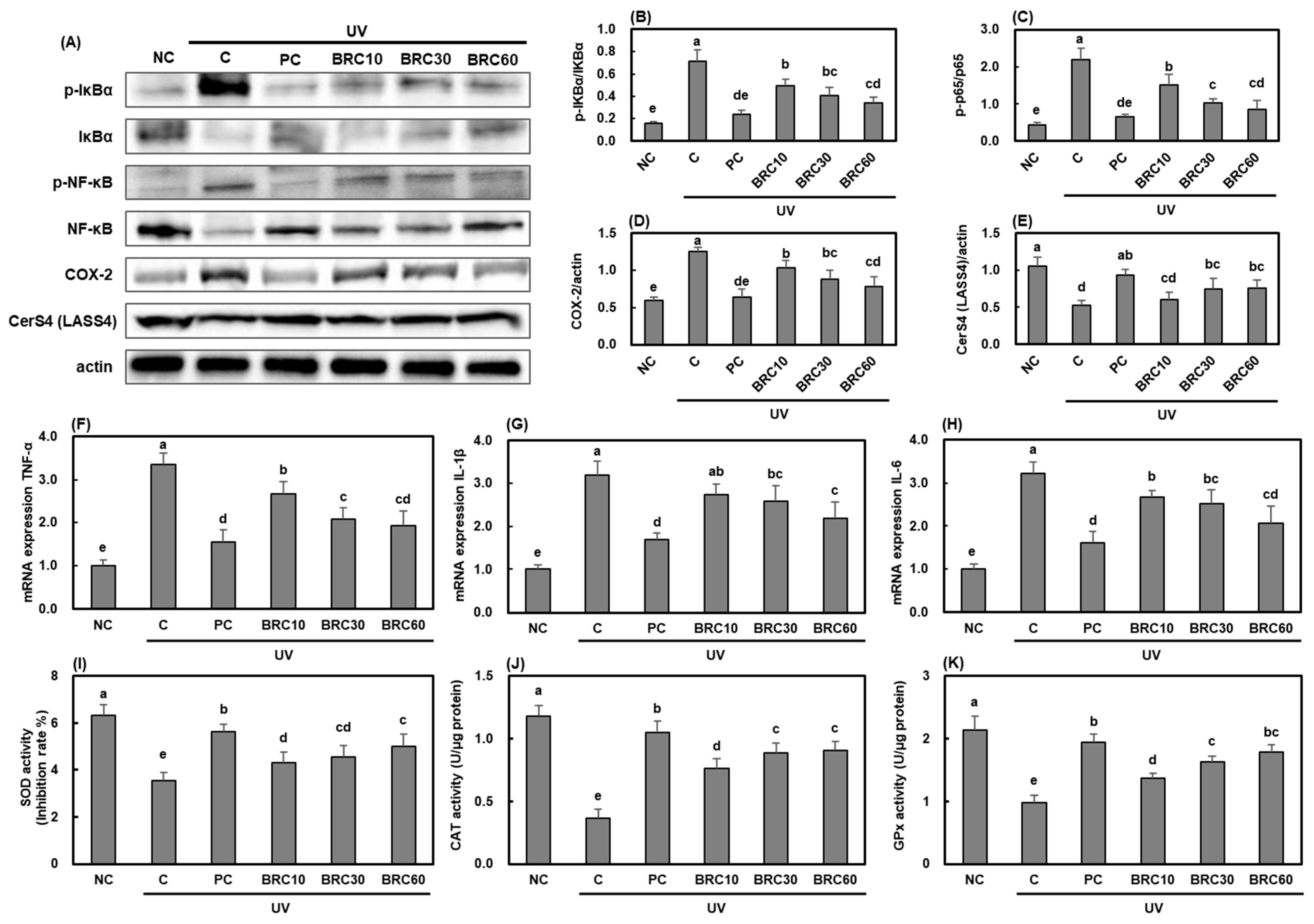 Cimb 48 00050 g004 Cimb 48 00050 g004