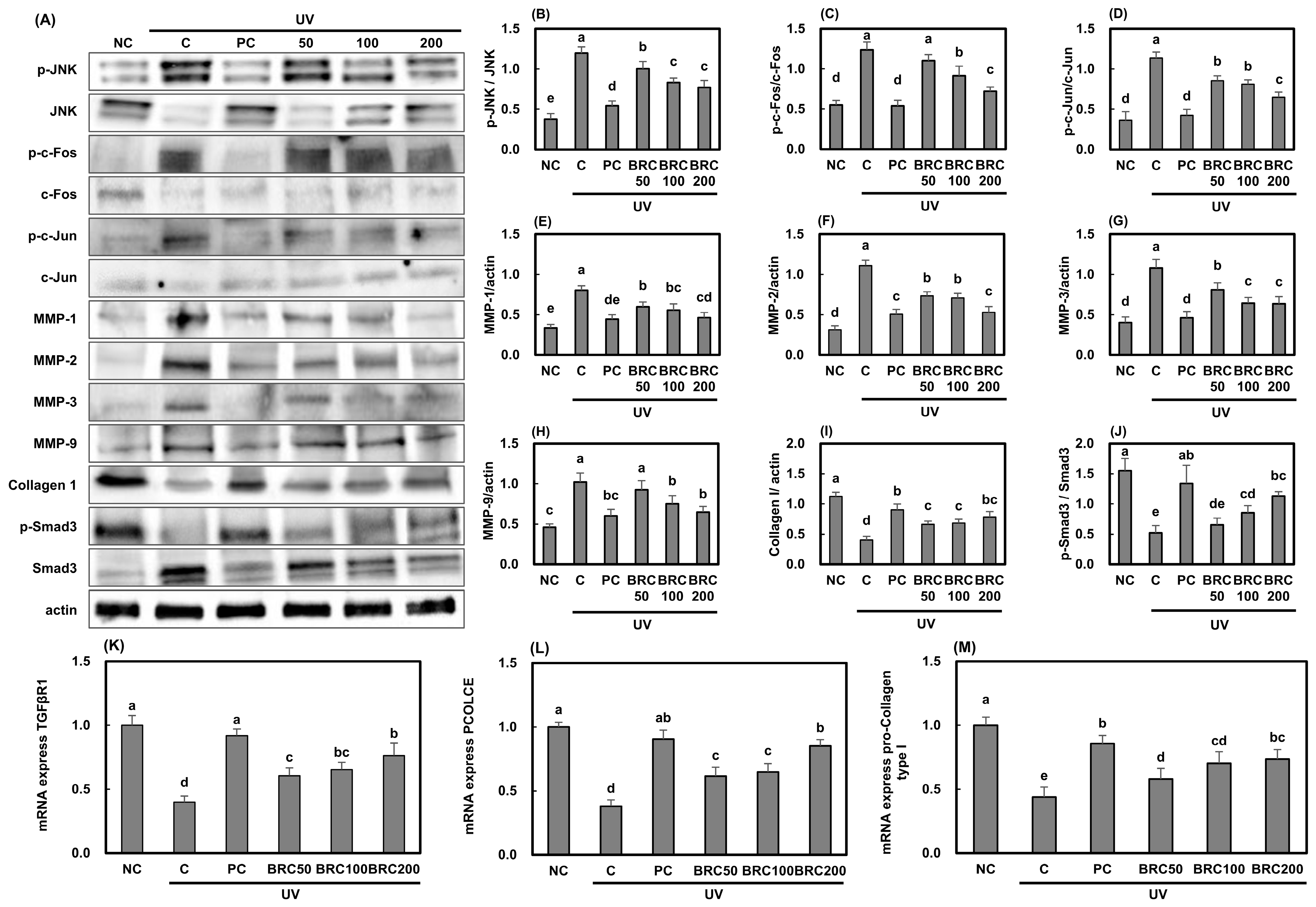 Cimb 48 00050 g005 Cimb 48 00050 g005