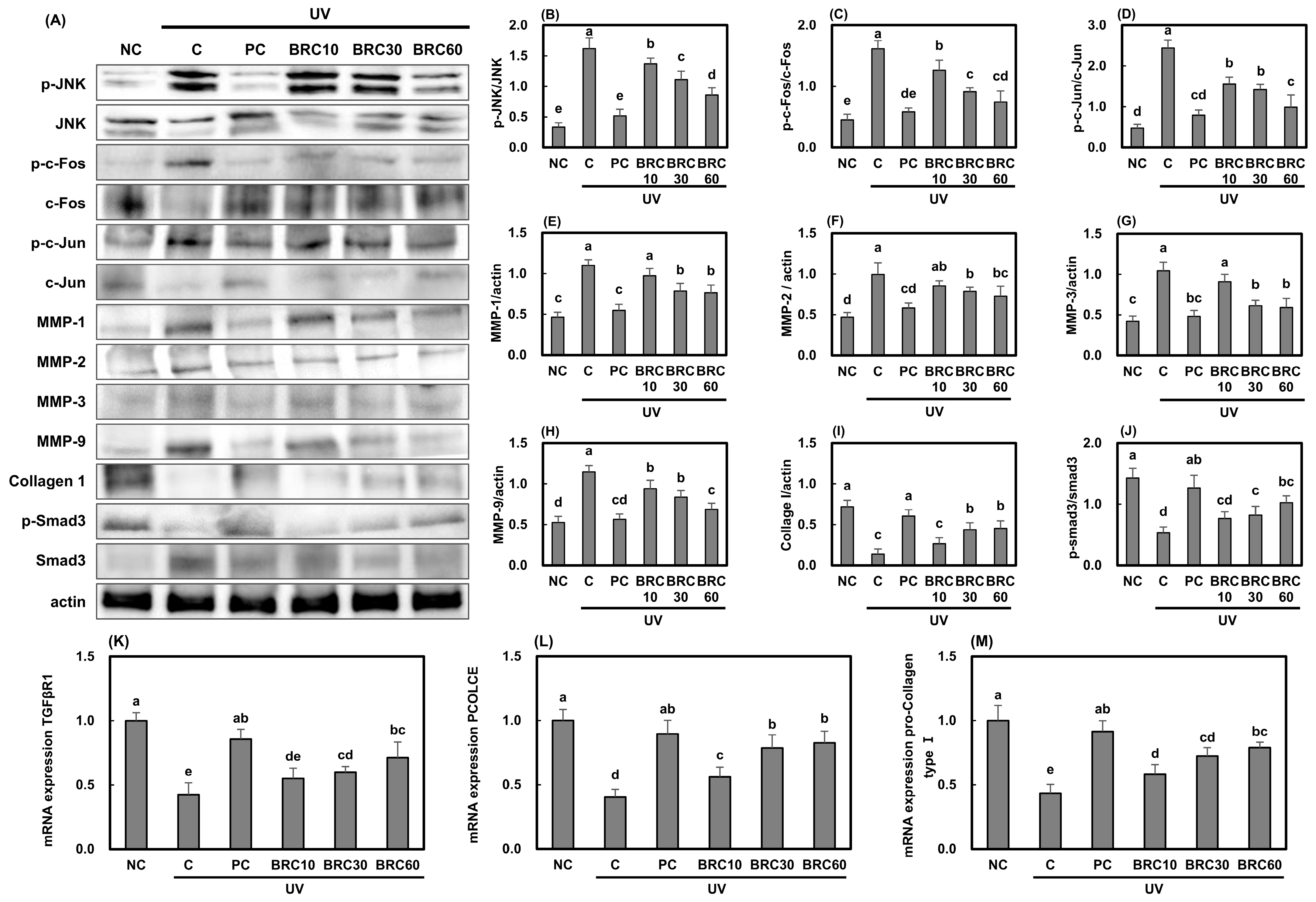 Cimb 48 00050 g006 Cimb 48 00050 g006