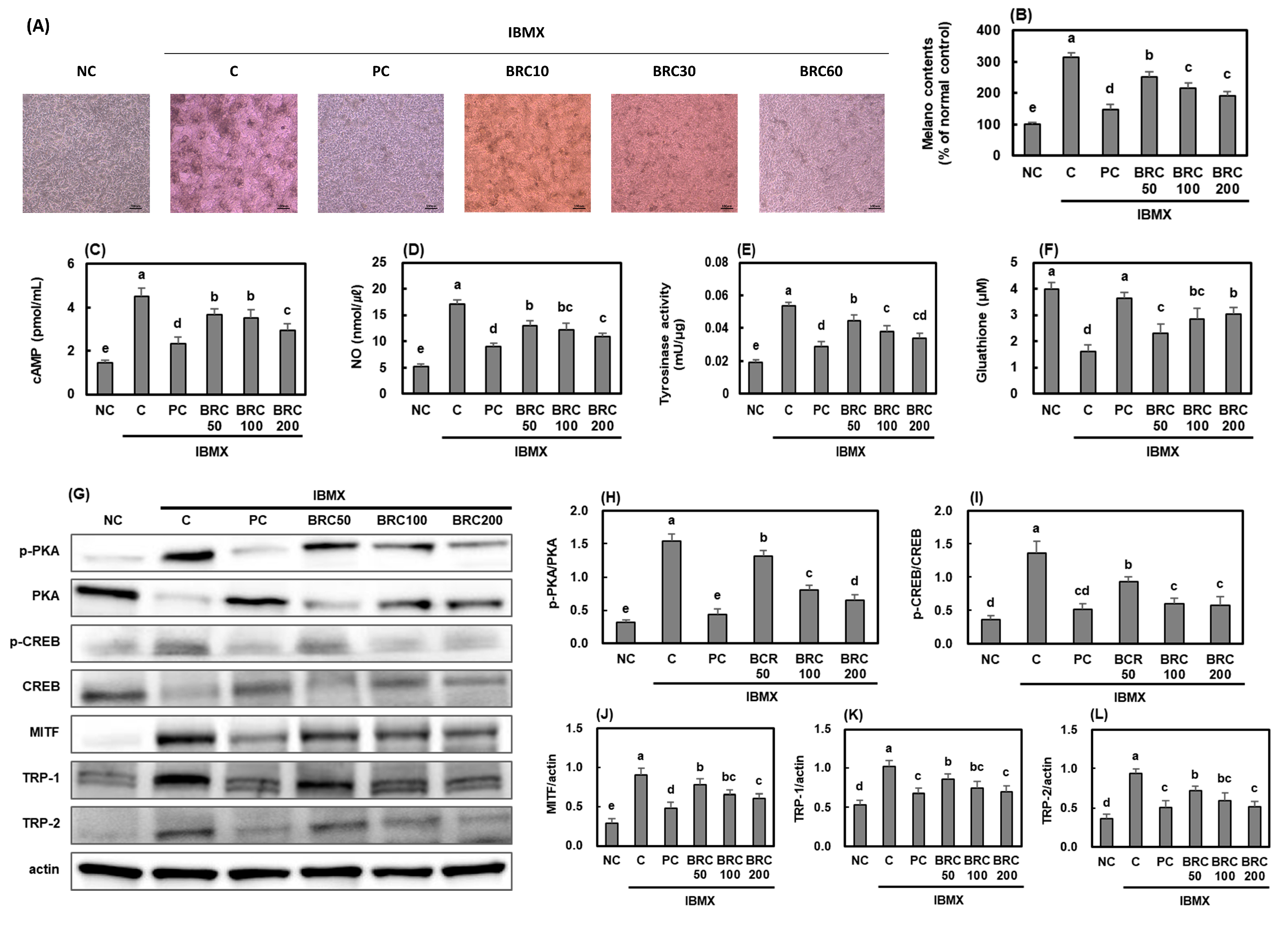 Cimb 48 00050 g007 Cimb 48 00050 g007