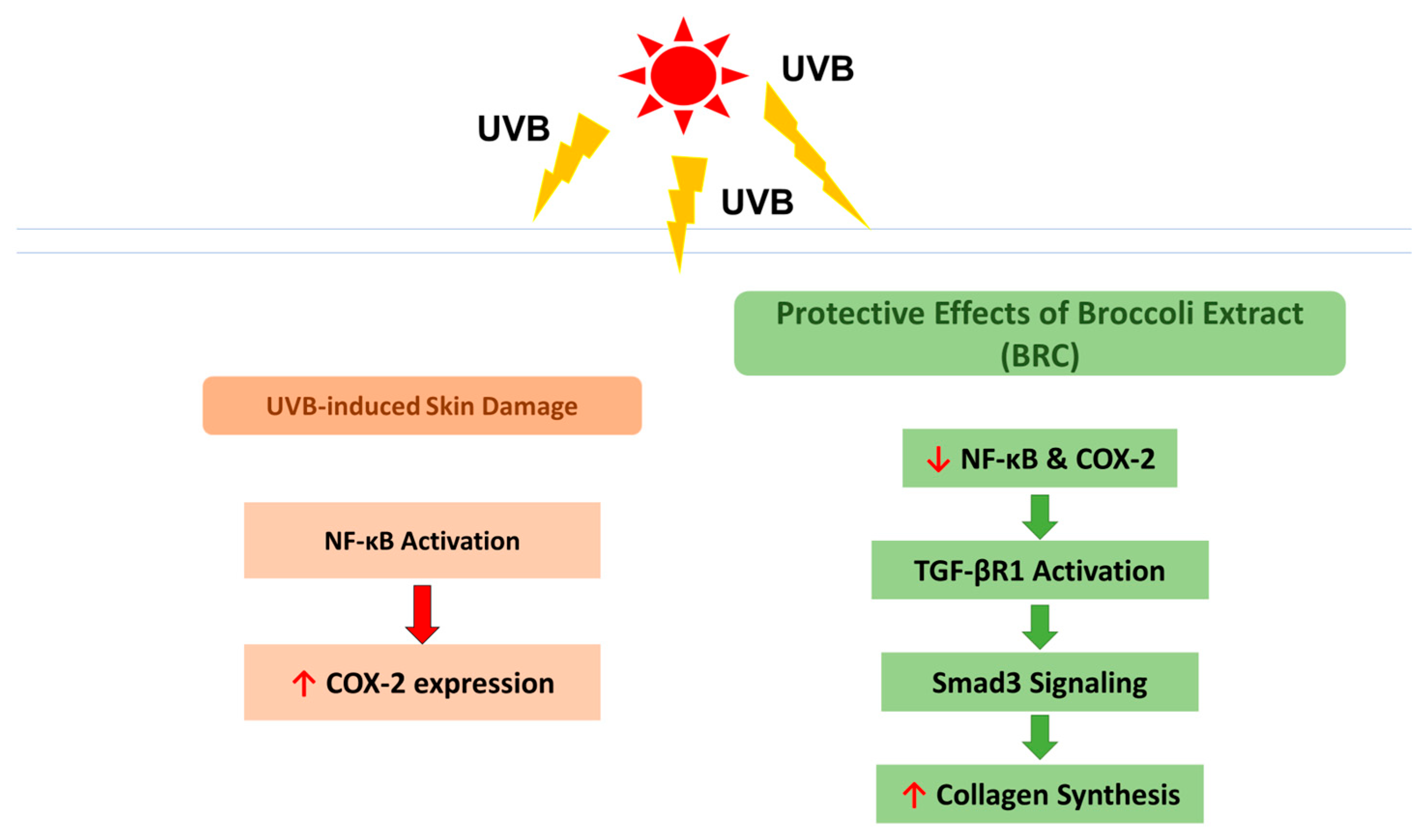 Cimb 48 00050 g008 Cimb 48 00050 g008