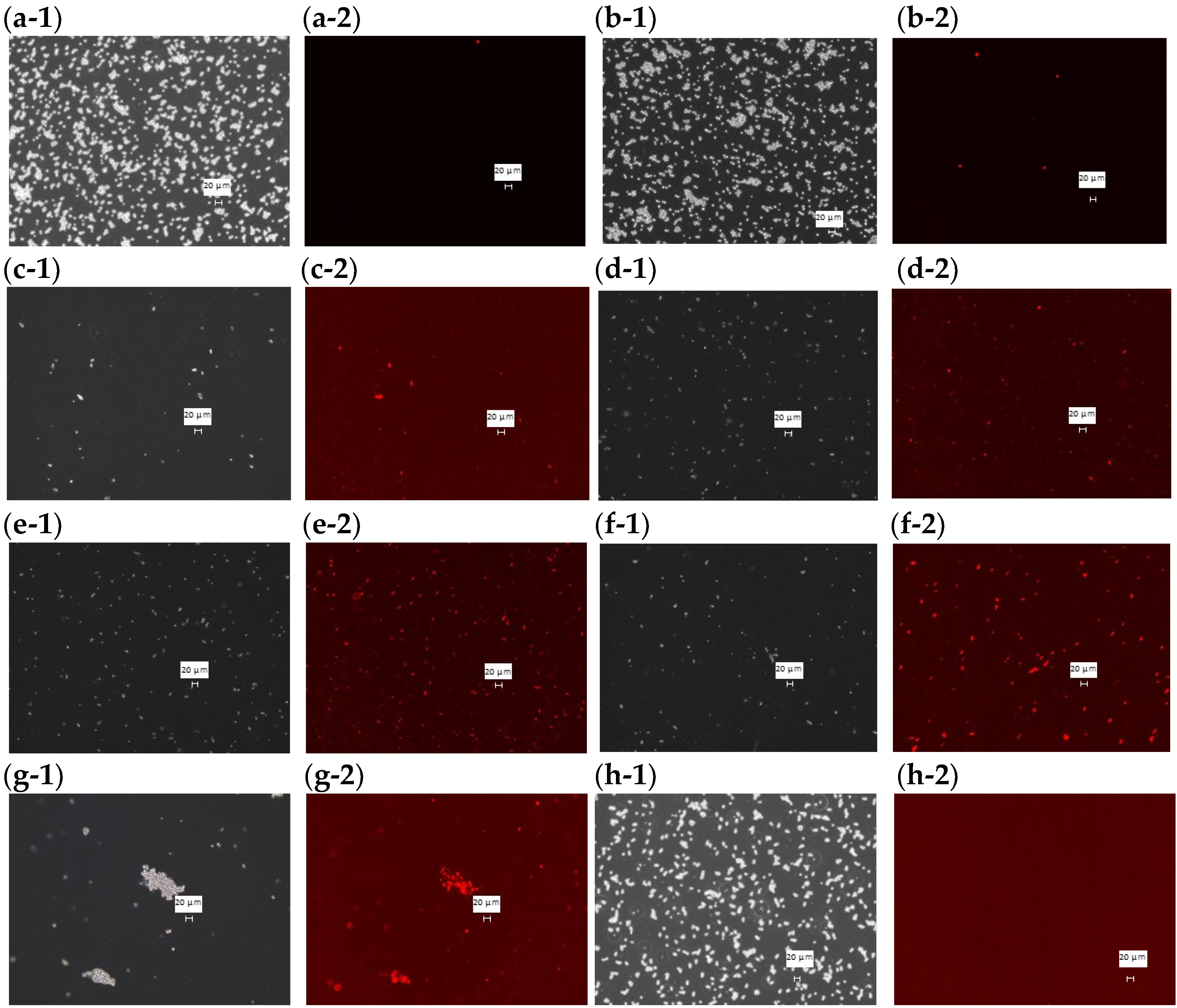 Cimb 48 00150 g003 Cimb 48 00150 g003