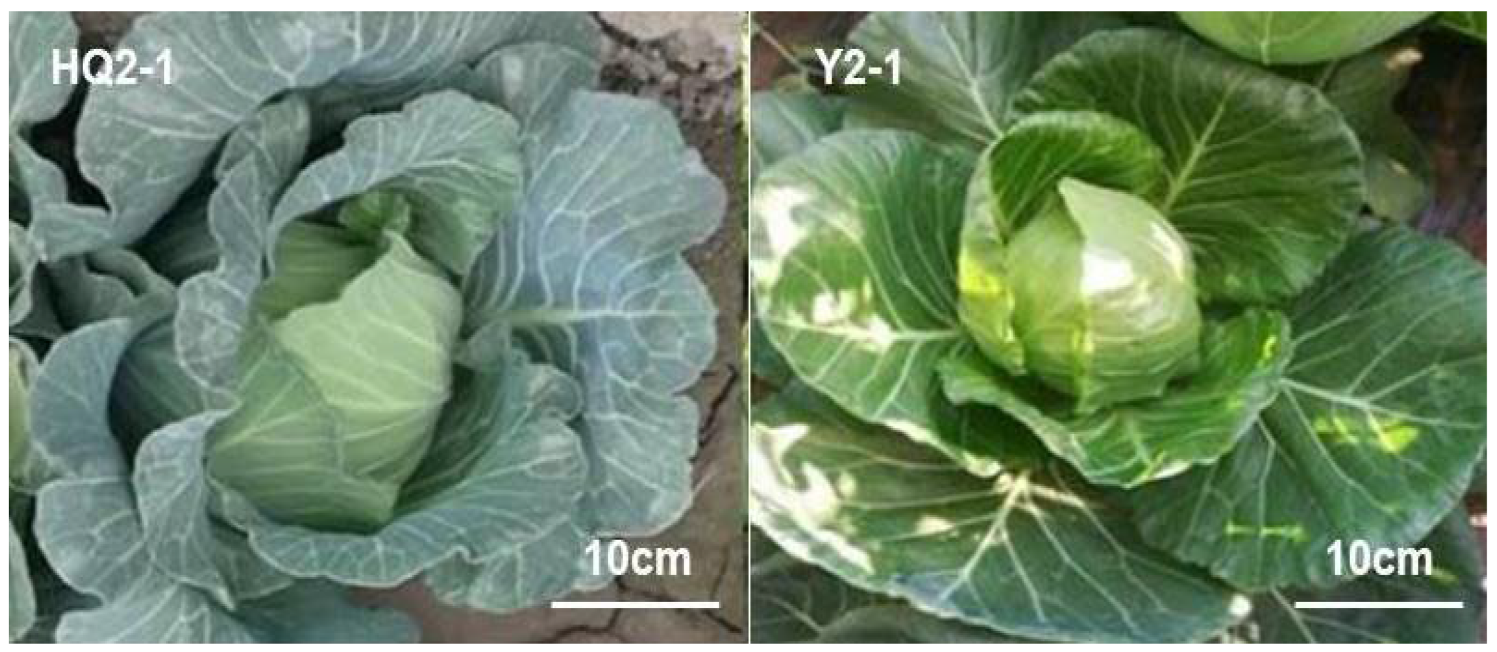 Cimb 48 00152 g001 Cimb 48 00152 g001