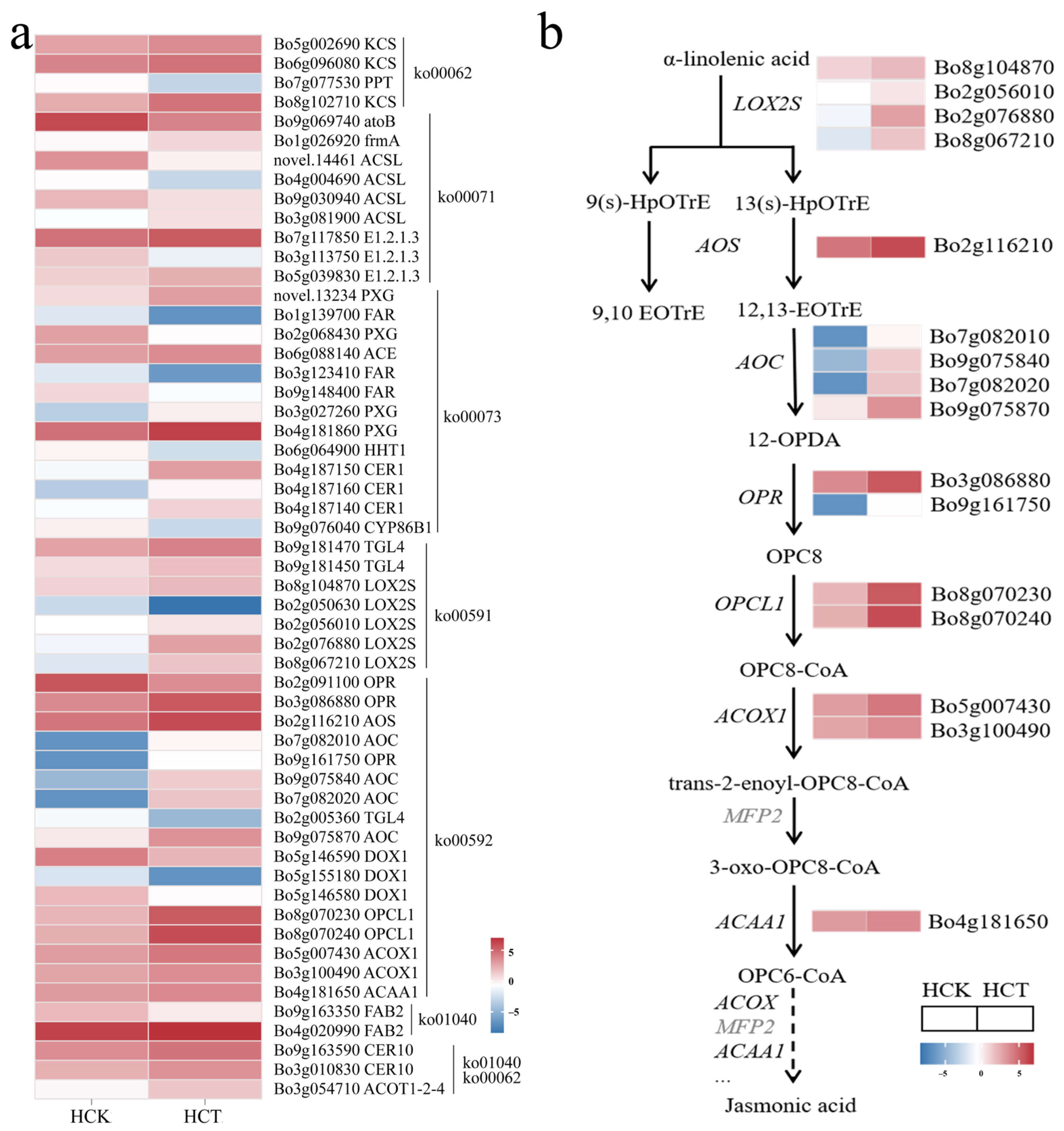 Cimb 48 00152 g005 Cimb 48 00152 g005