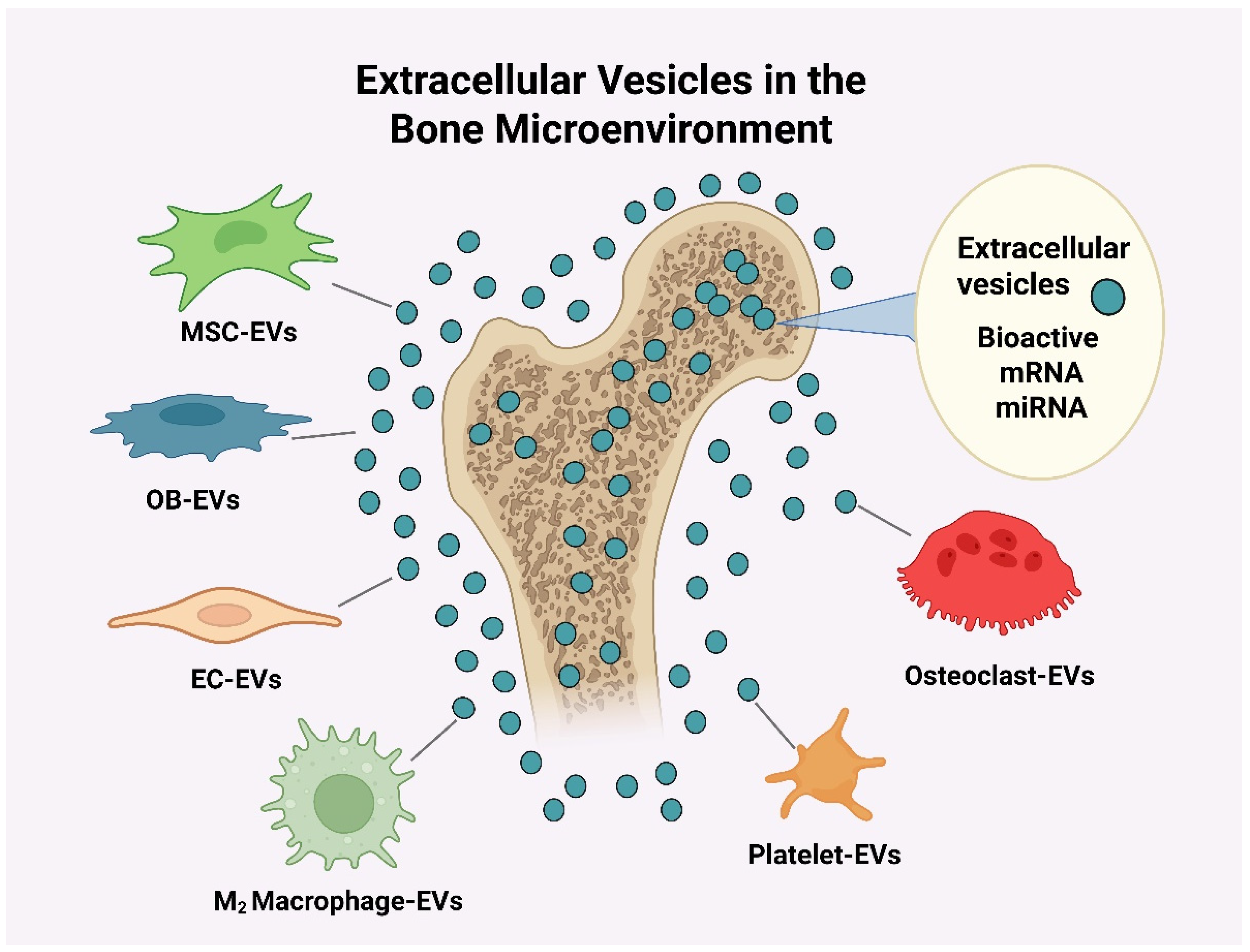 Cimb 48 00154 g002 Cimb 48 00154 g002