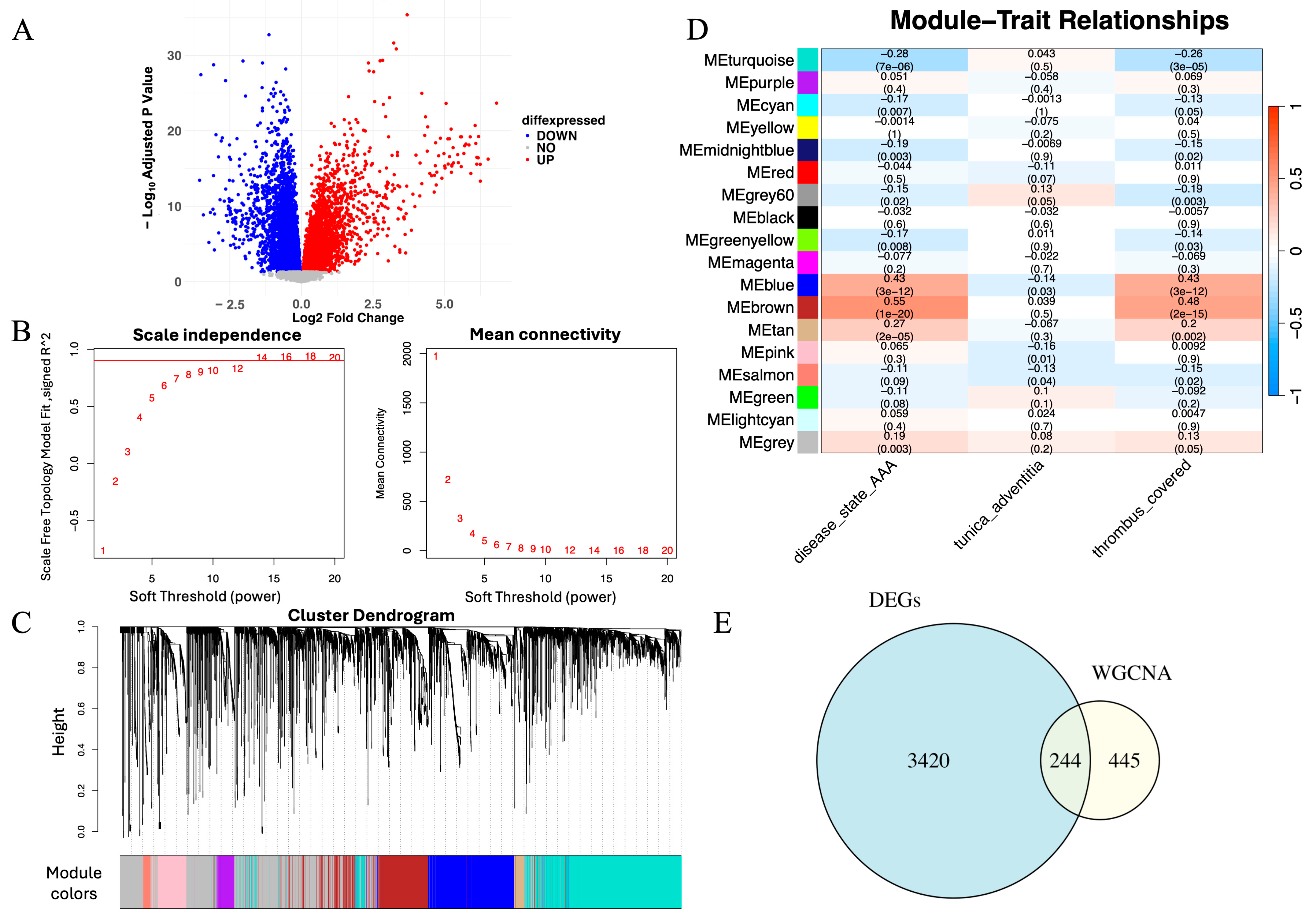 Cimb 48 00156 g002 Cimb 48 00156 g002