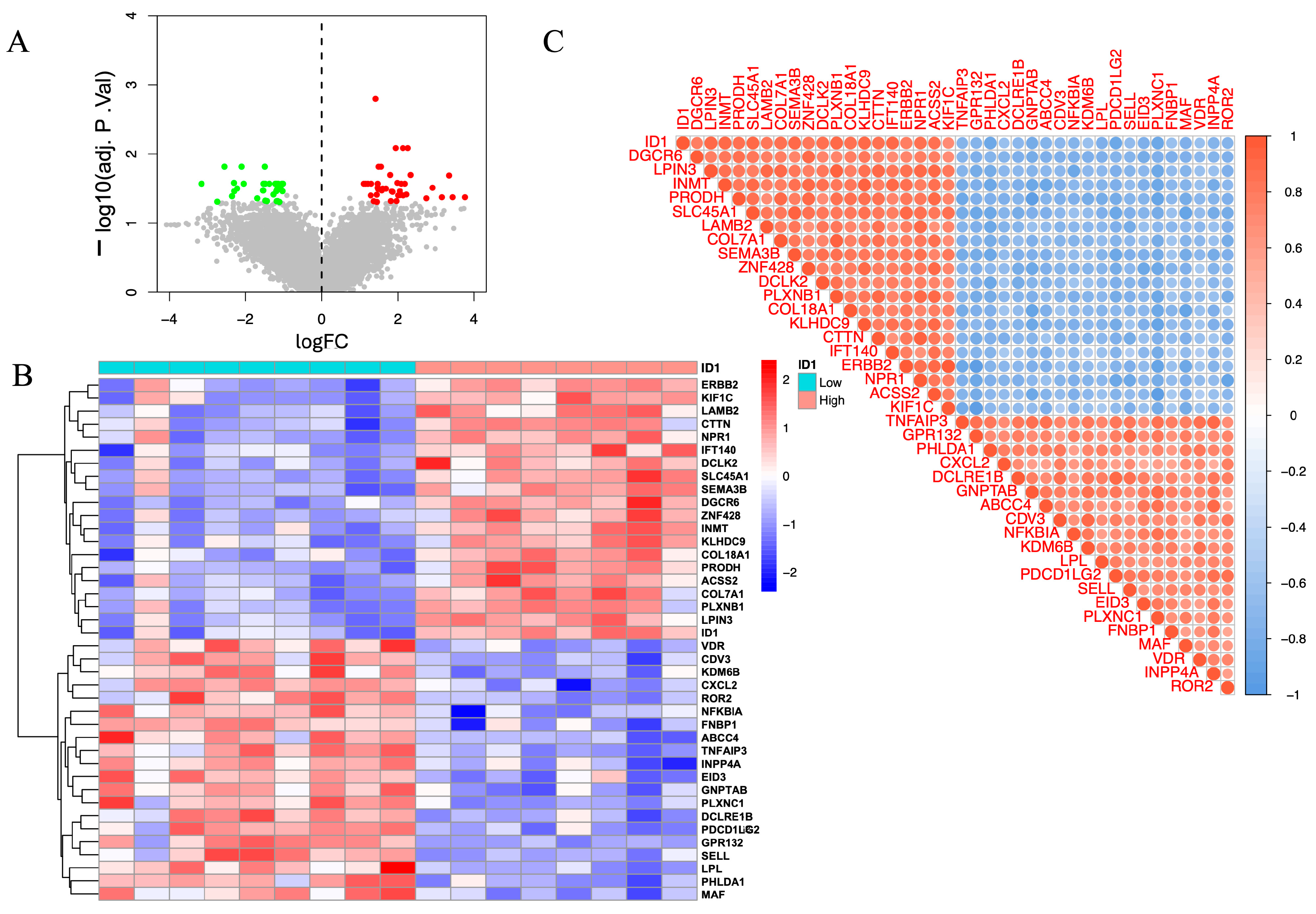 Cimb 48 00156 g005 Cimb 48 00156 g005