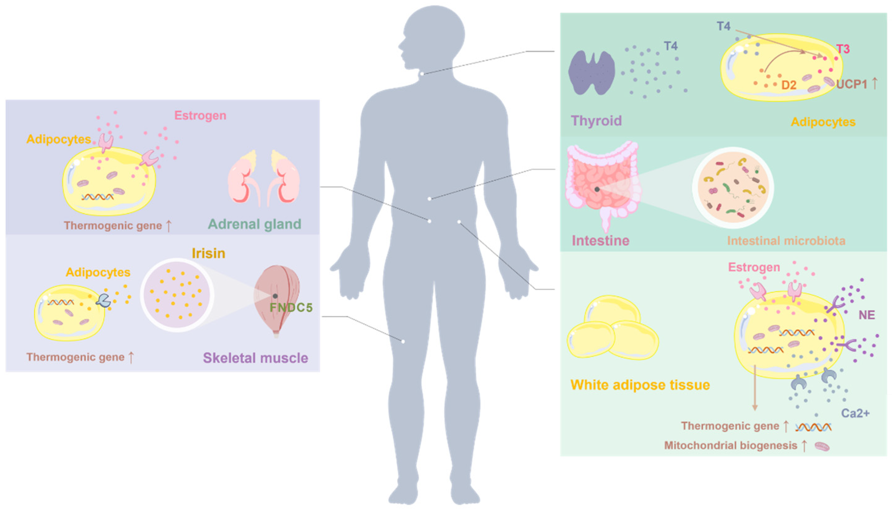 Cimb 48 00201 g002 Cimb 48 00201 g002