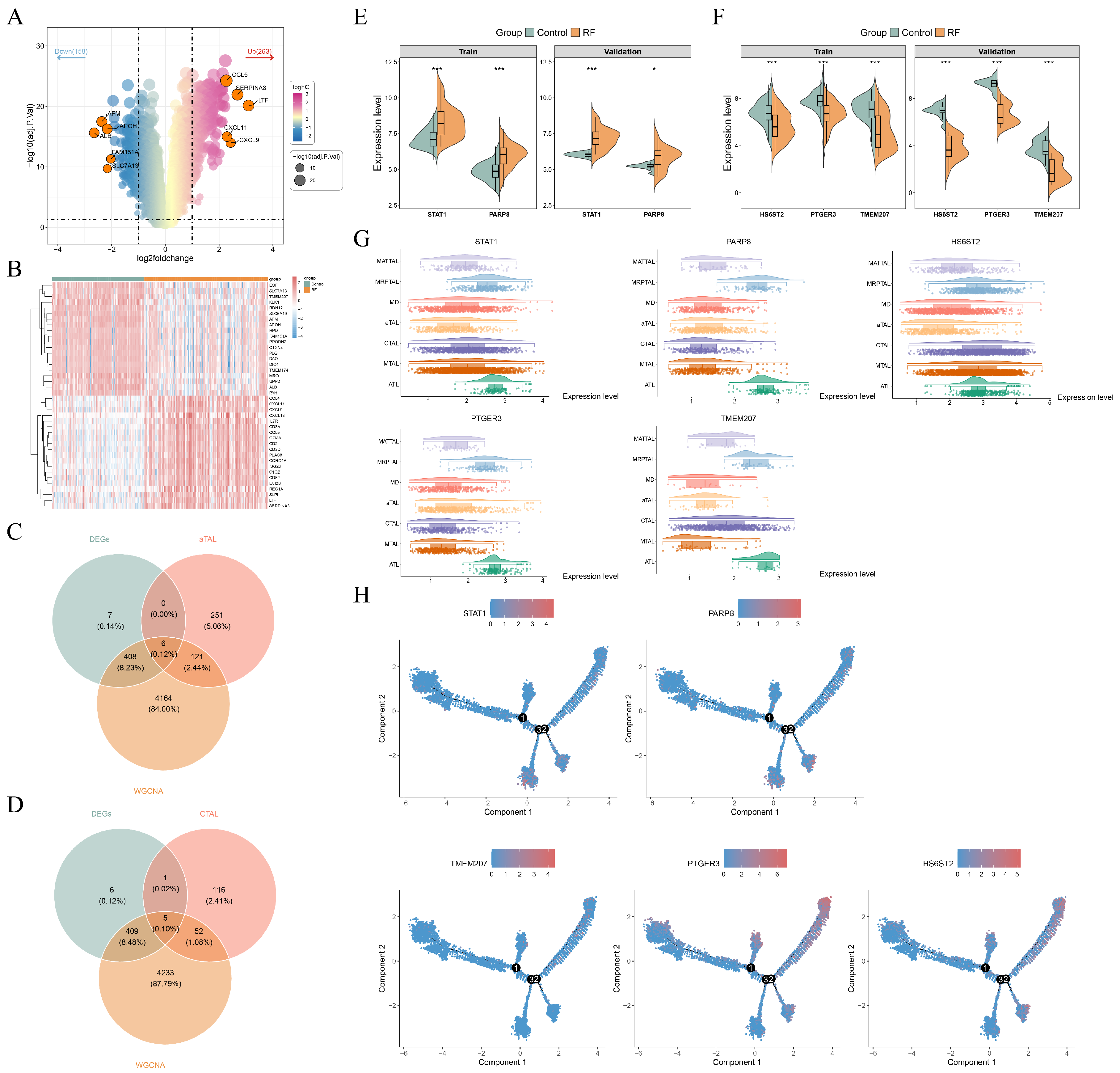 Cimb 48 00215 g005 Cimb 48 00215 g005
