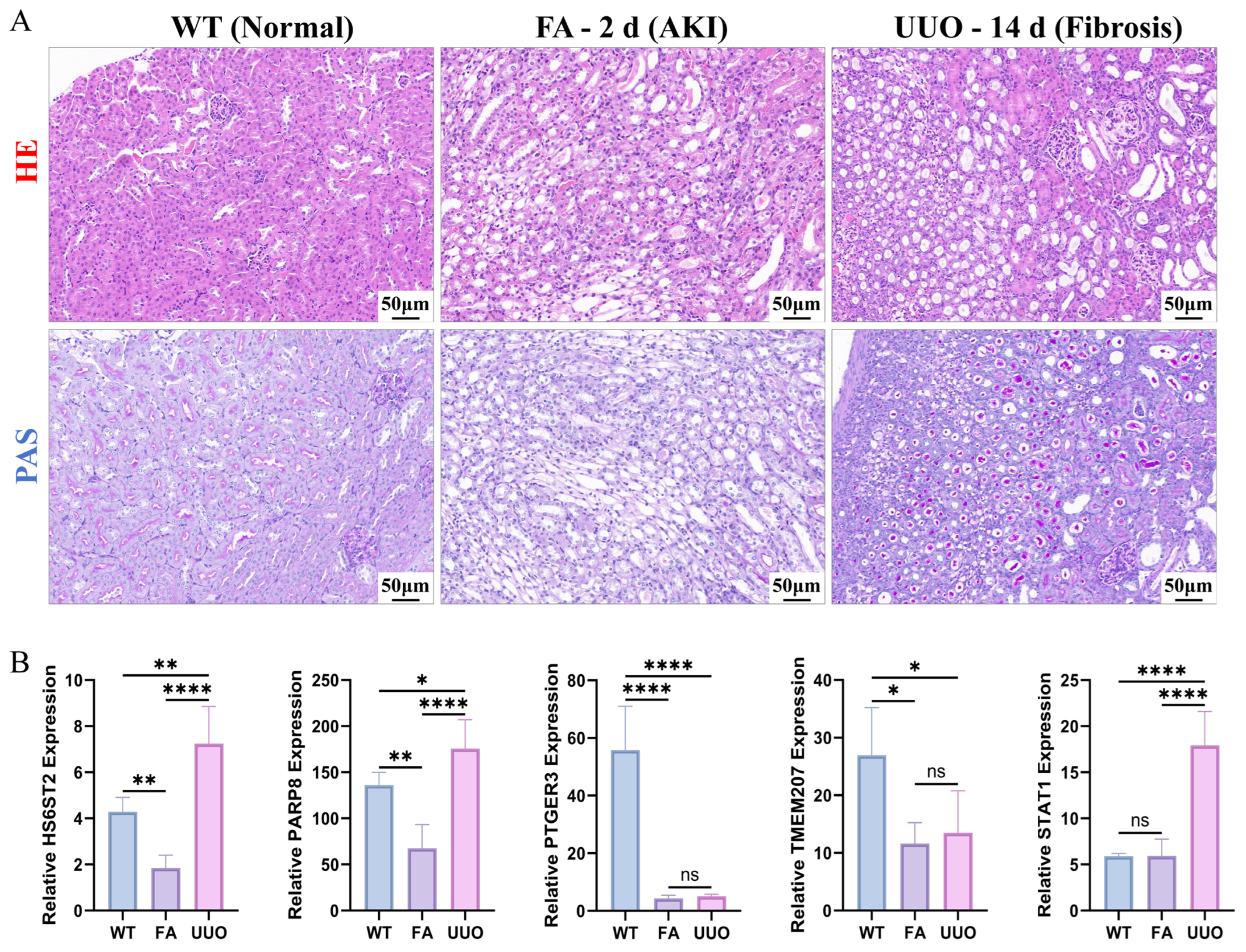 Cimb 48 00215 g007 Cimb 48 00215 g007