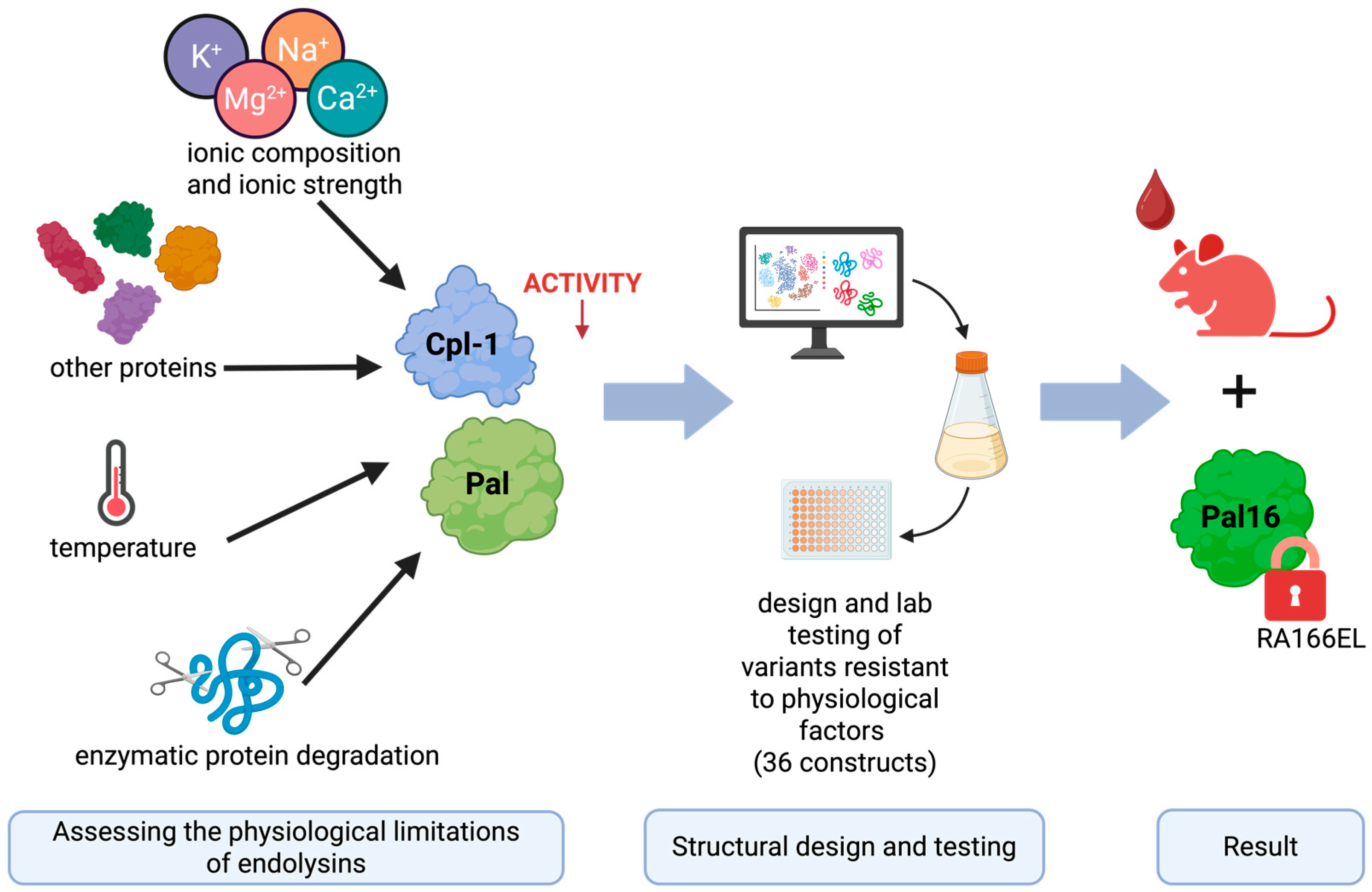 Cimb 48 00231 g001 Cimb 48 00231 g001