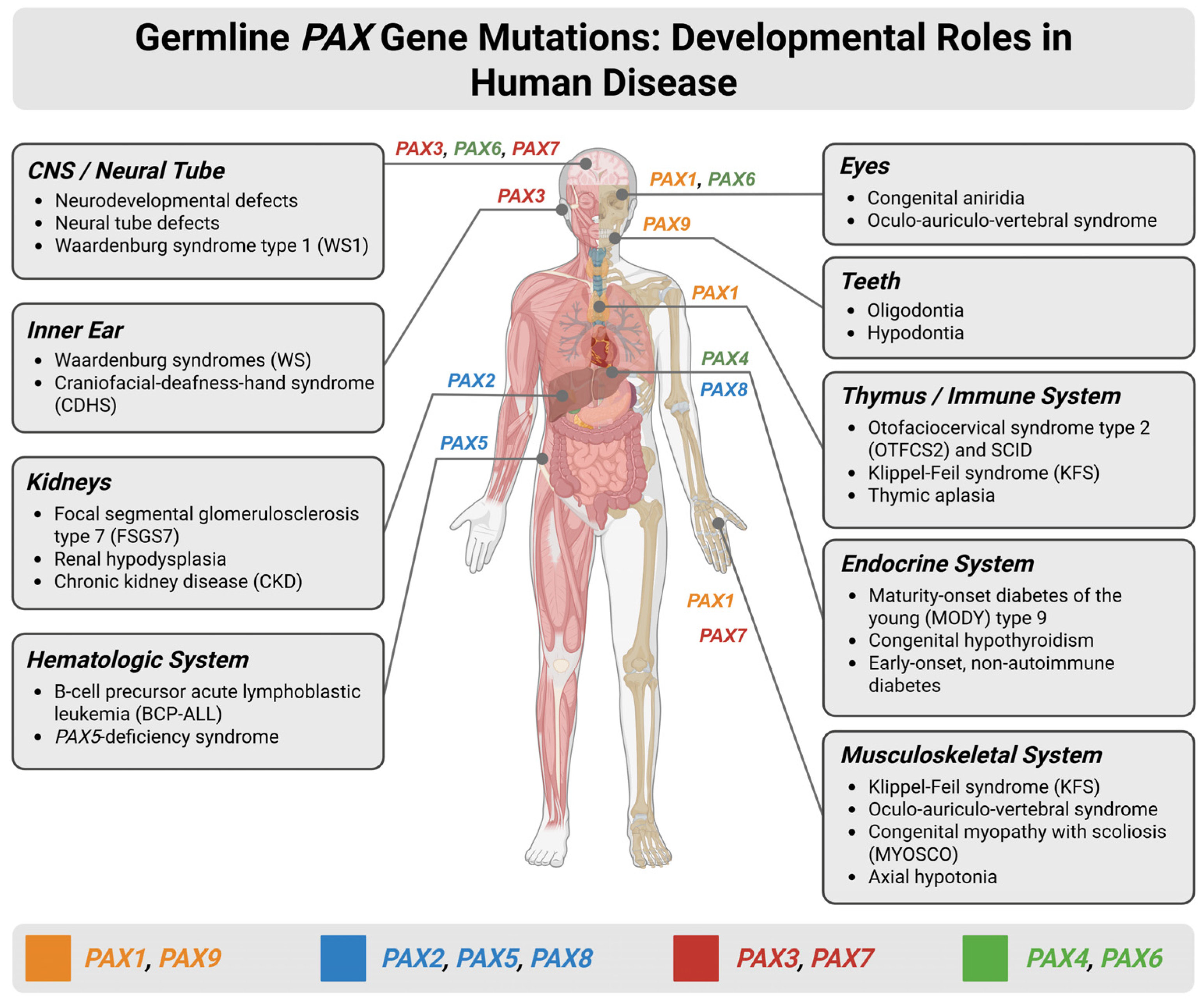 Cimb 48 00236 g002 Cimb 48 00236 g002