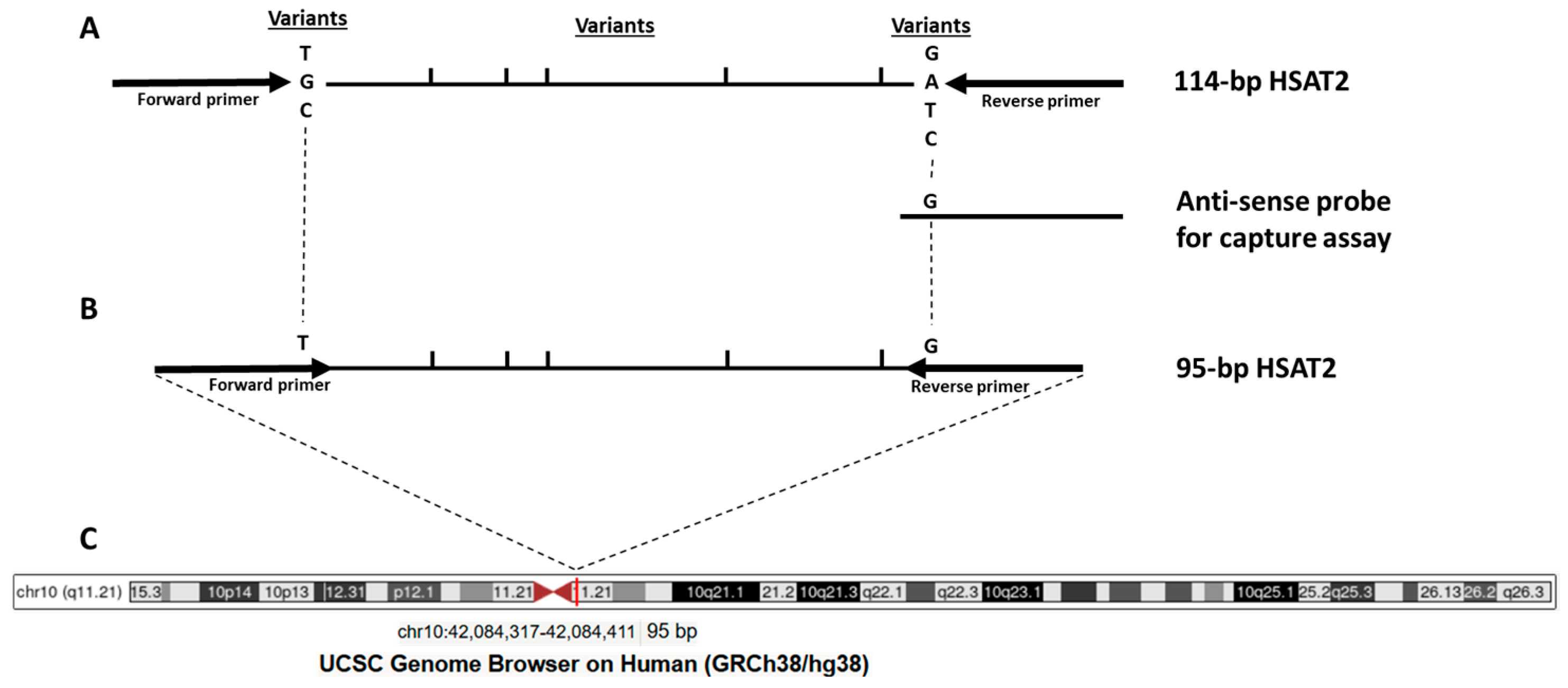 Cimb 48 00256 g001 Cimb 48 00256 g001