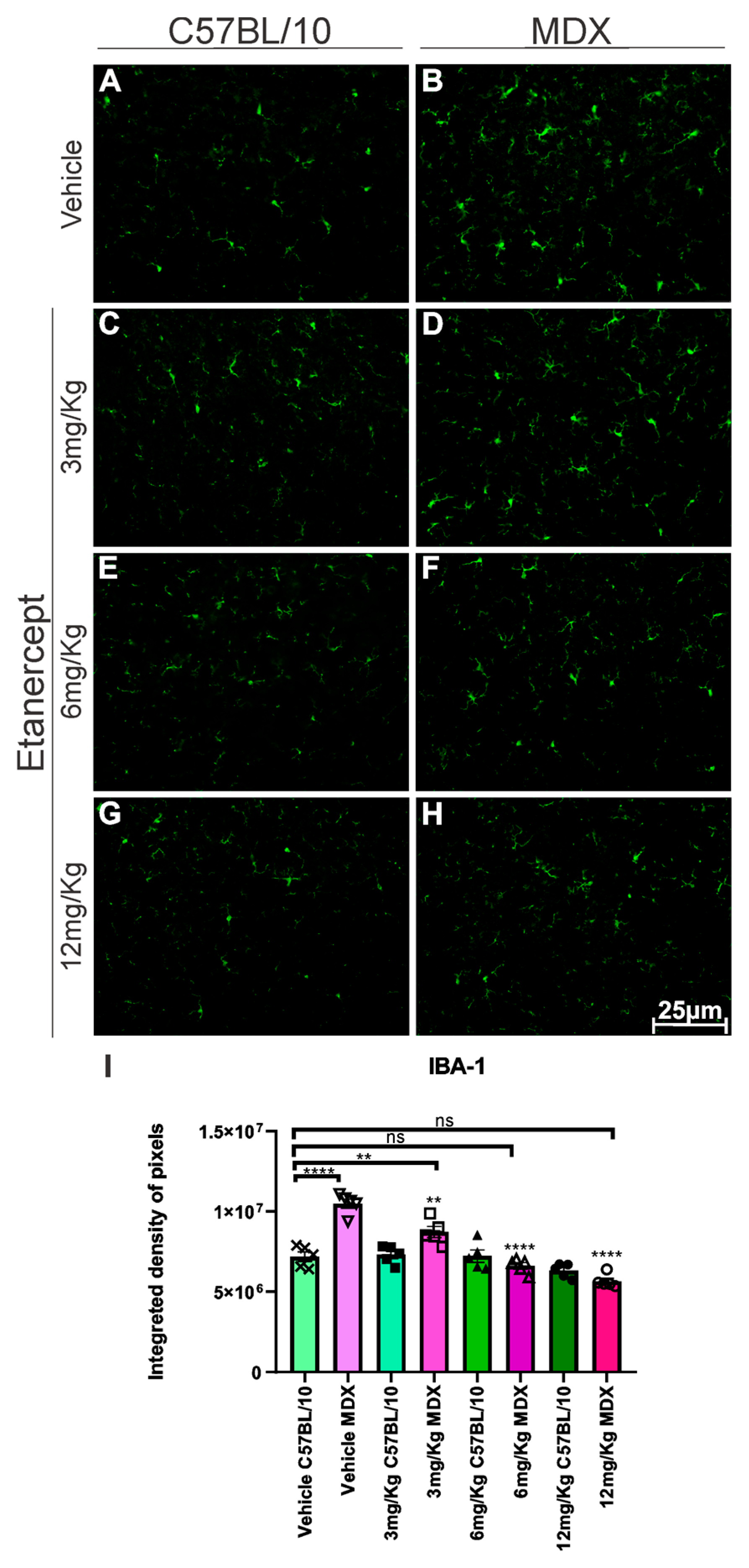 Cimb 48 00270 g004 Cimb 48 00270 g004