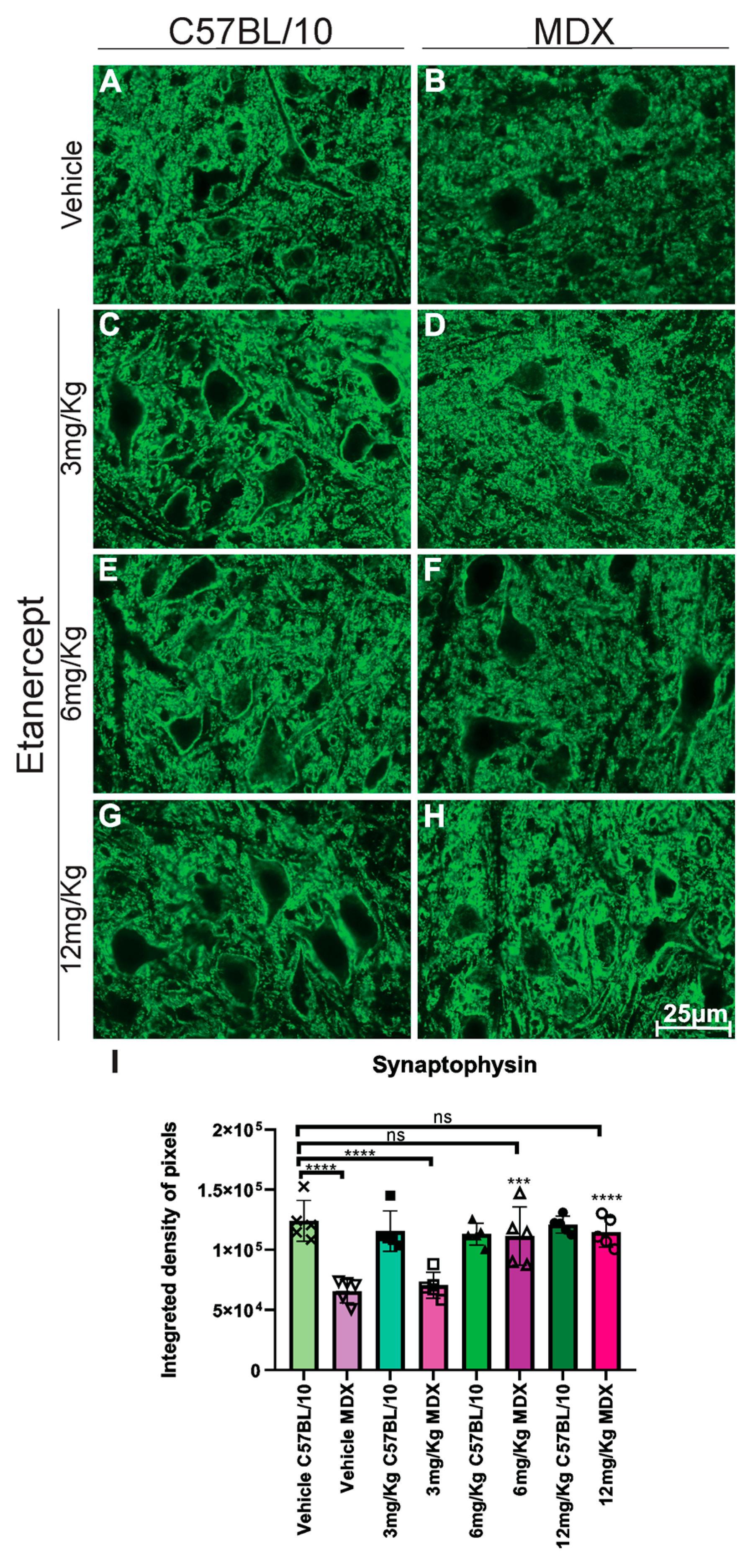 Cimb 48 00270 g005 Cimb 48 00270 g005
