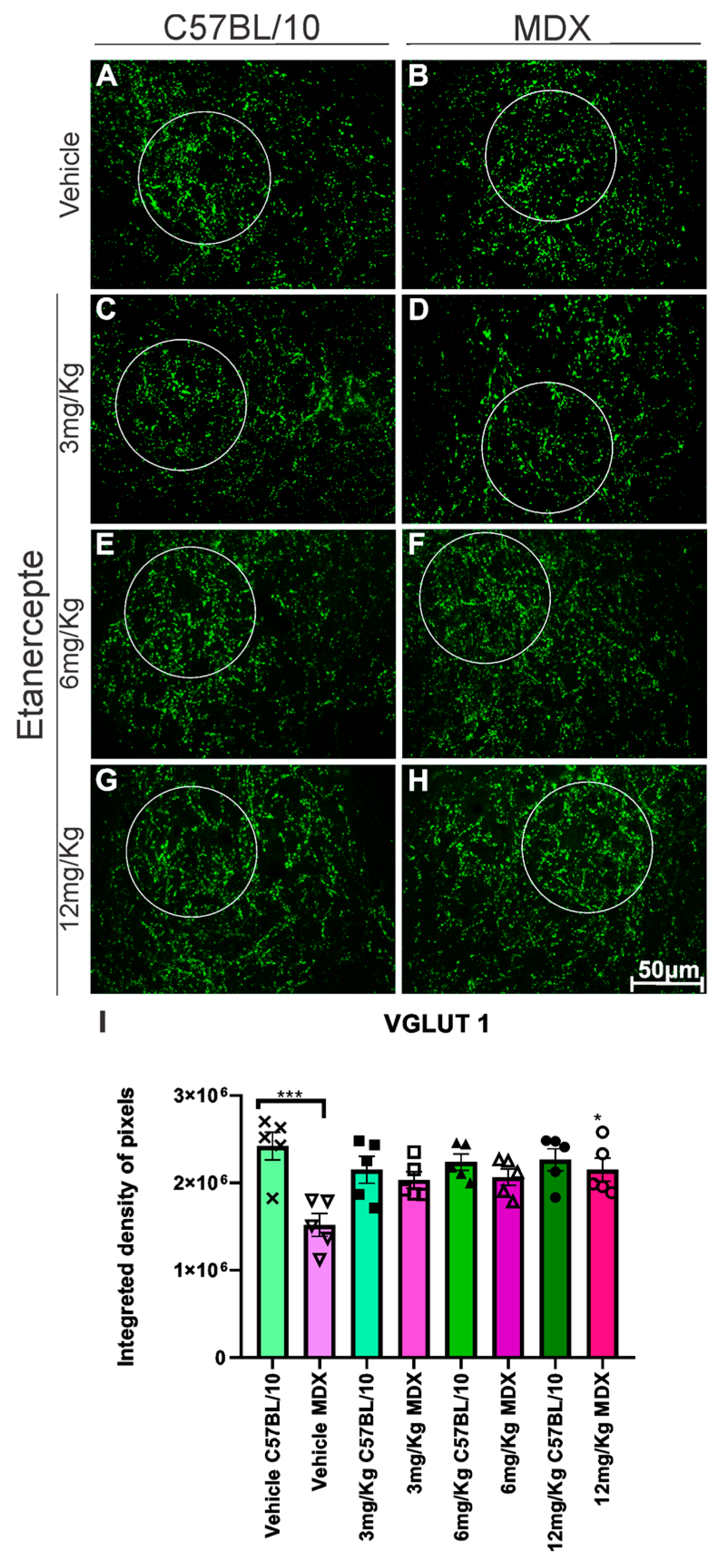 Cimb 48 00270 g006 Cimb 48 00270 g006