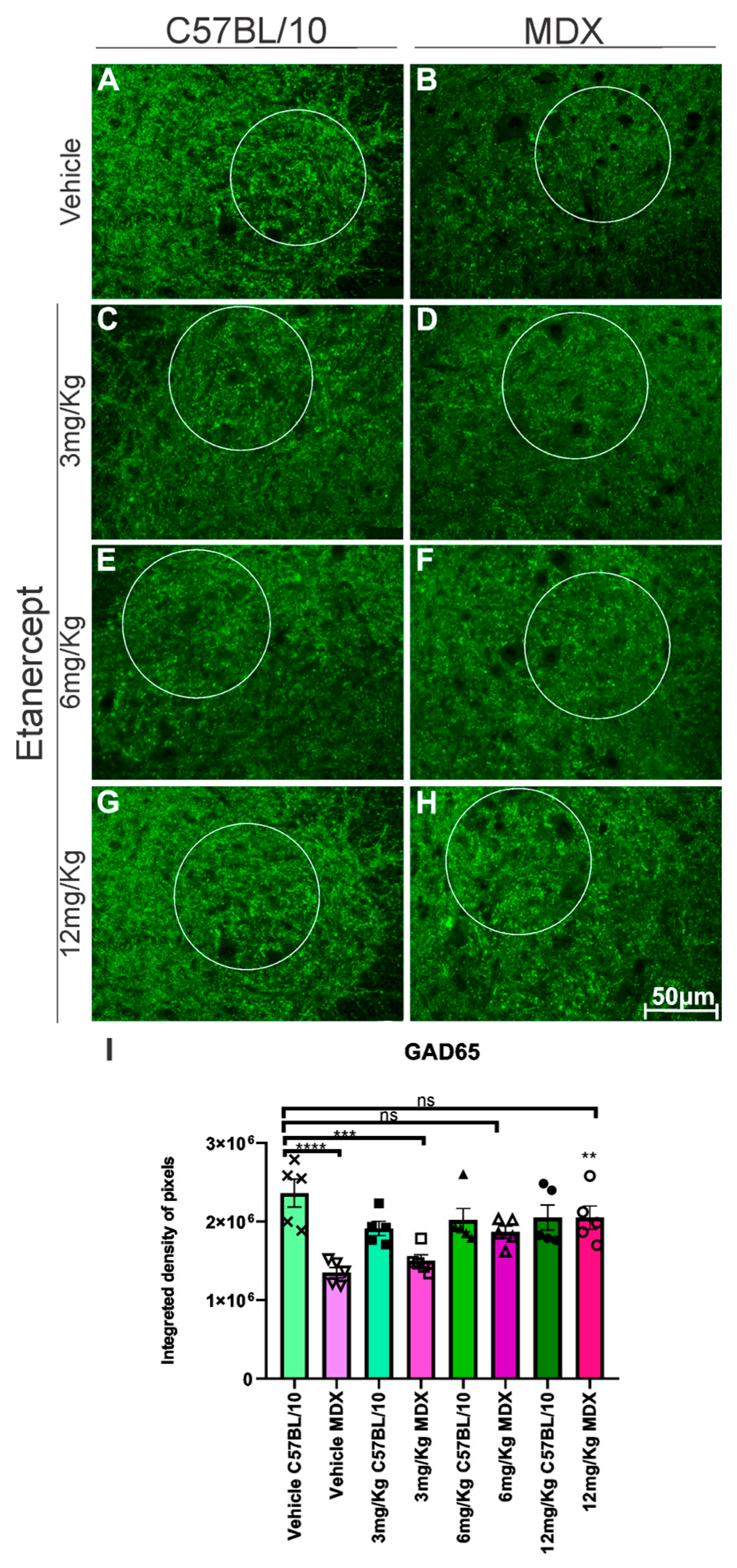 Cimb 48 00270 g007 Cimb 48 00270 g007
