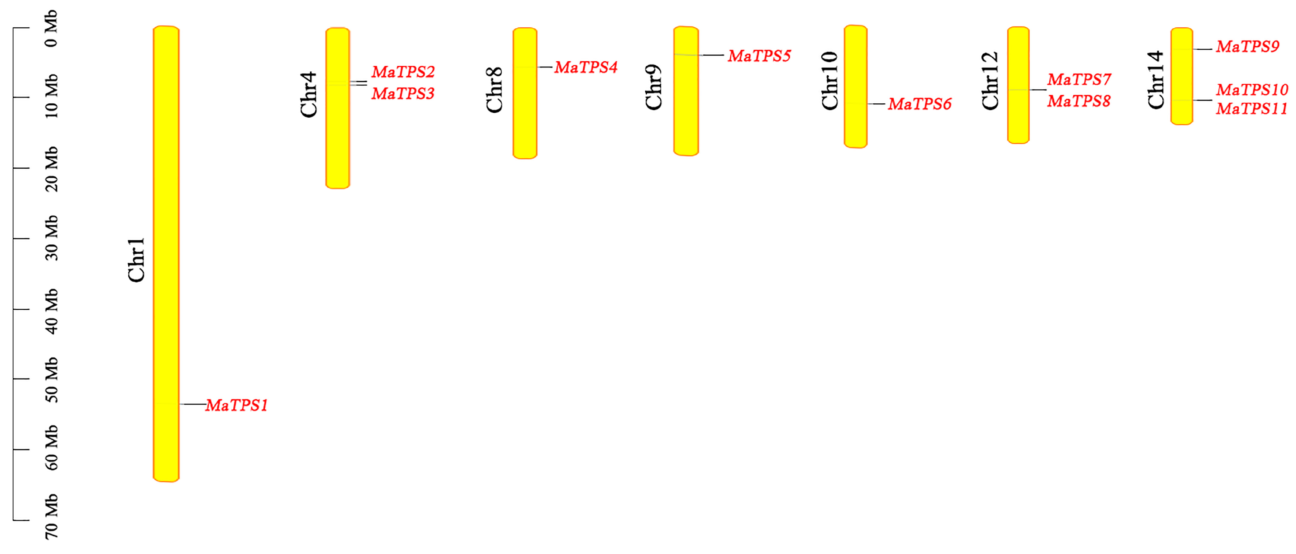 Cimb 48 00356 g002 Cimb 48 00356 g002