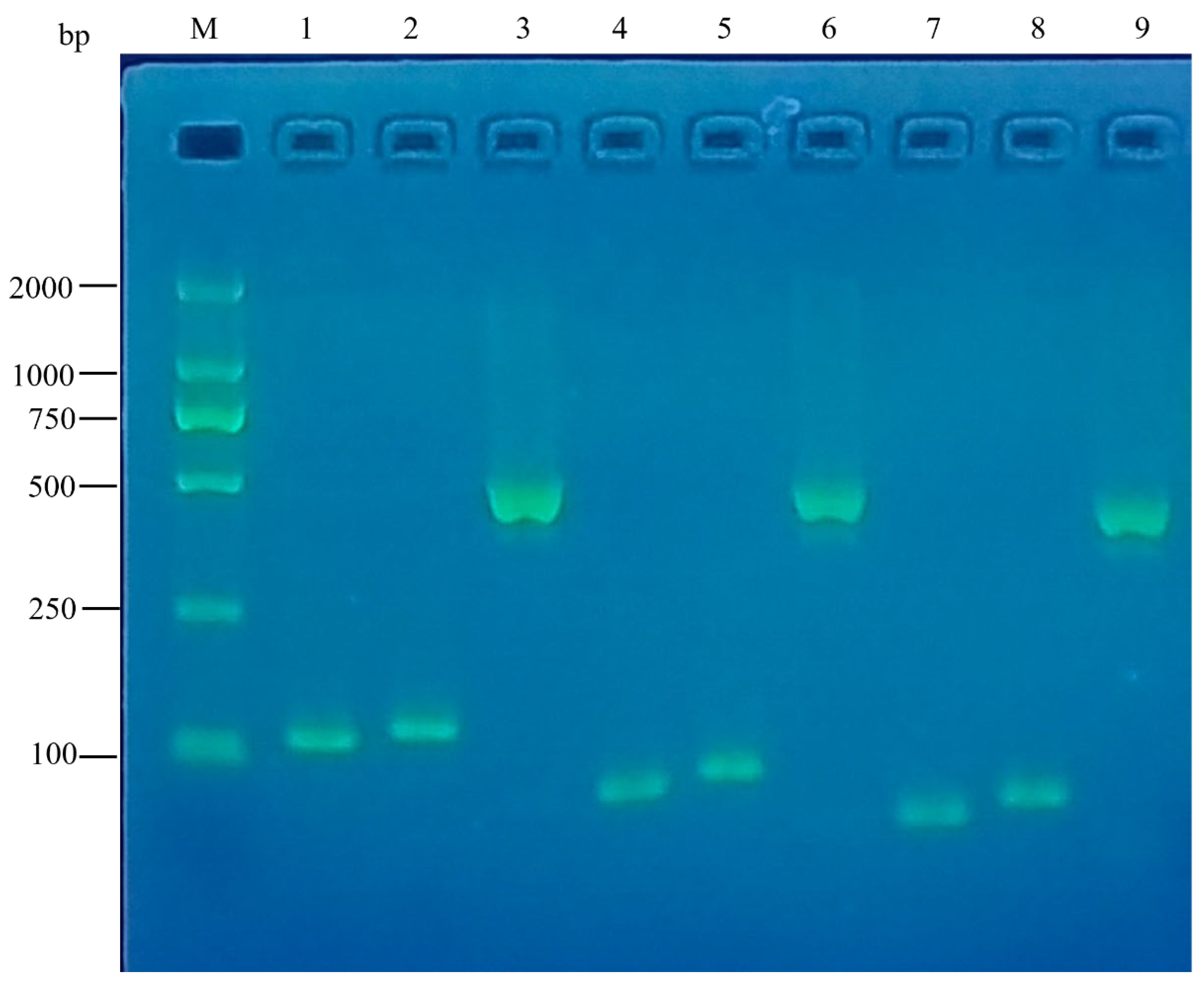Cimb 48 00983 g001 Cimb 48 00983 g001