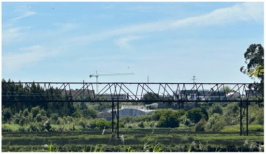 The object of study.