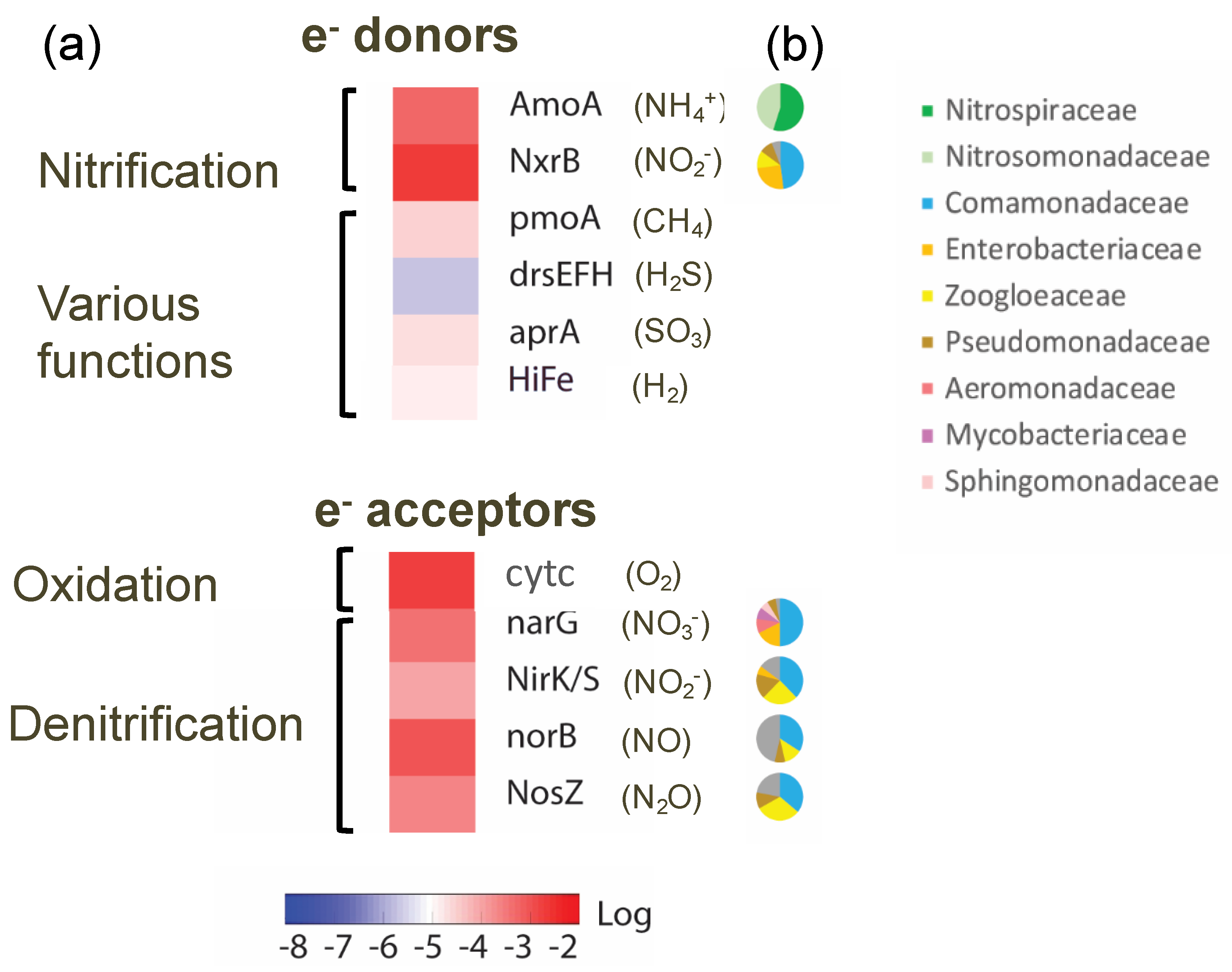 Cleantechnol 02 00005 g004a