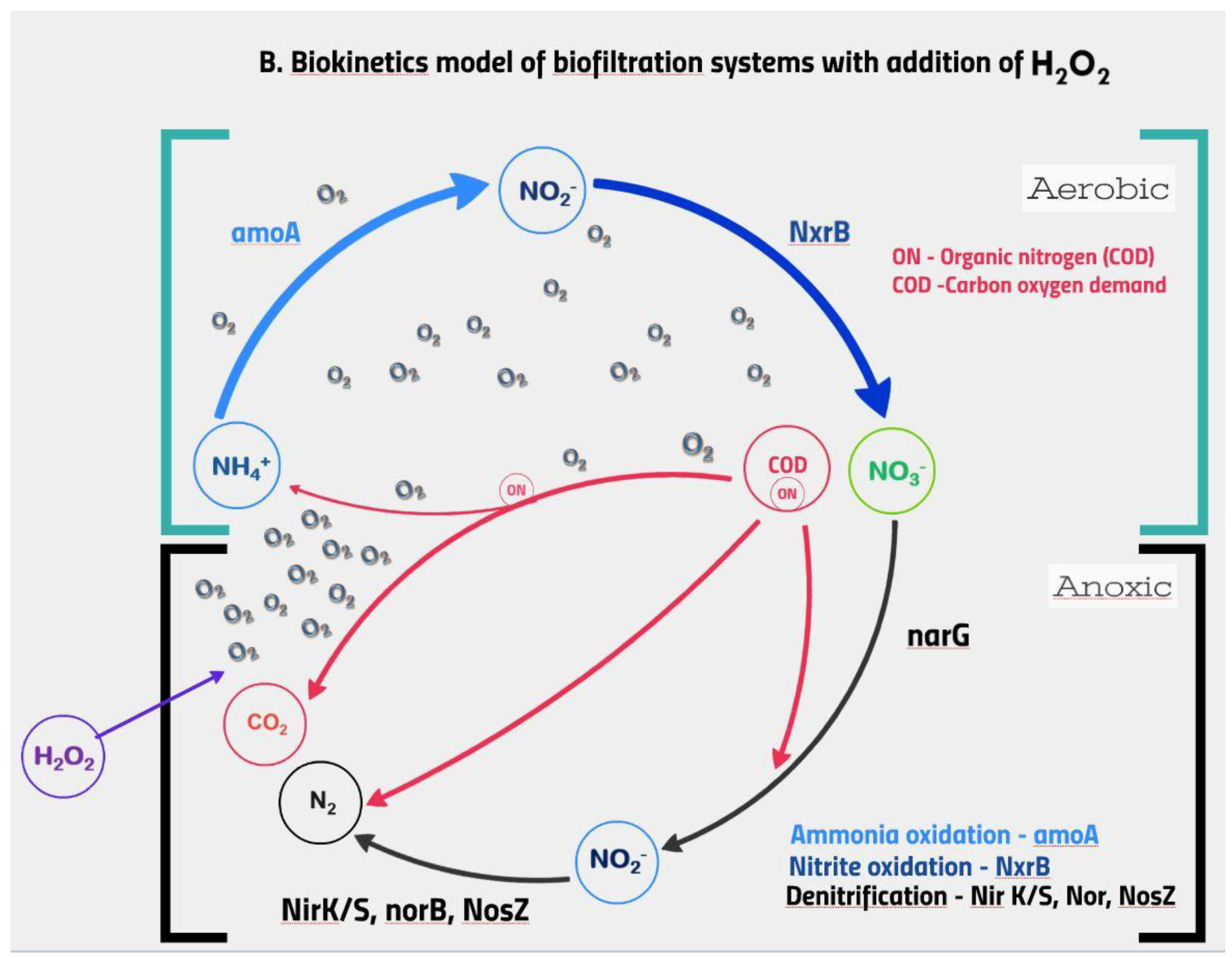 Cleantechnol 02 00005 g005