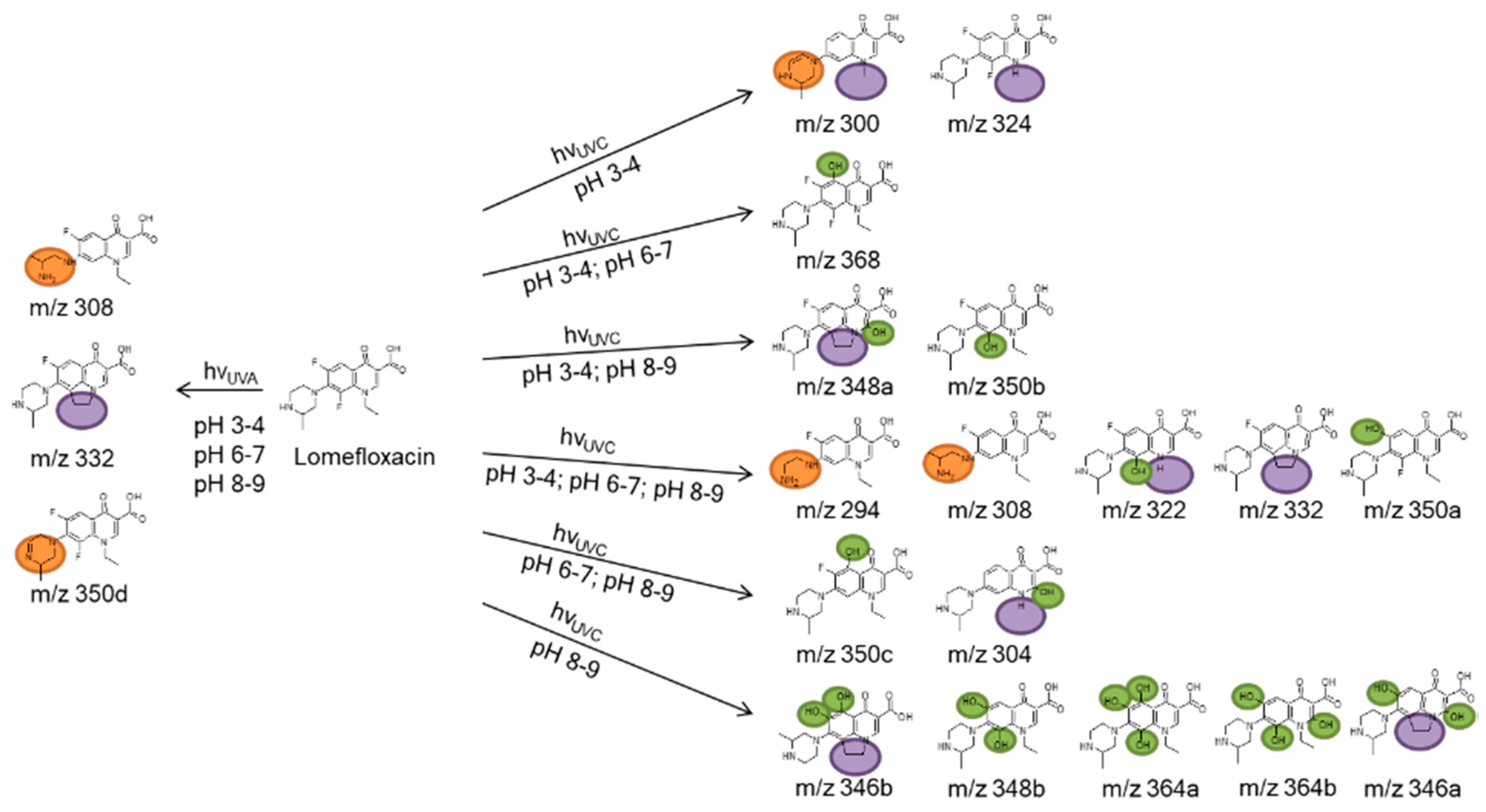 Cleantechnol 02 00006 g006